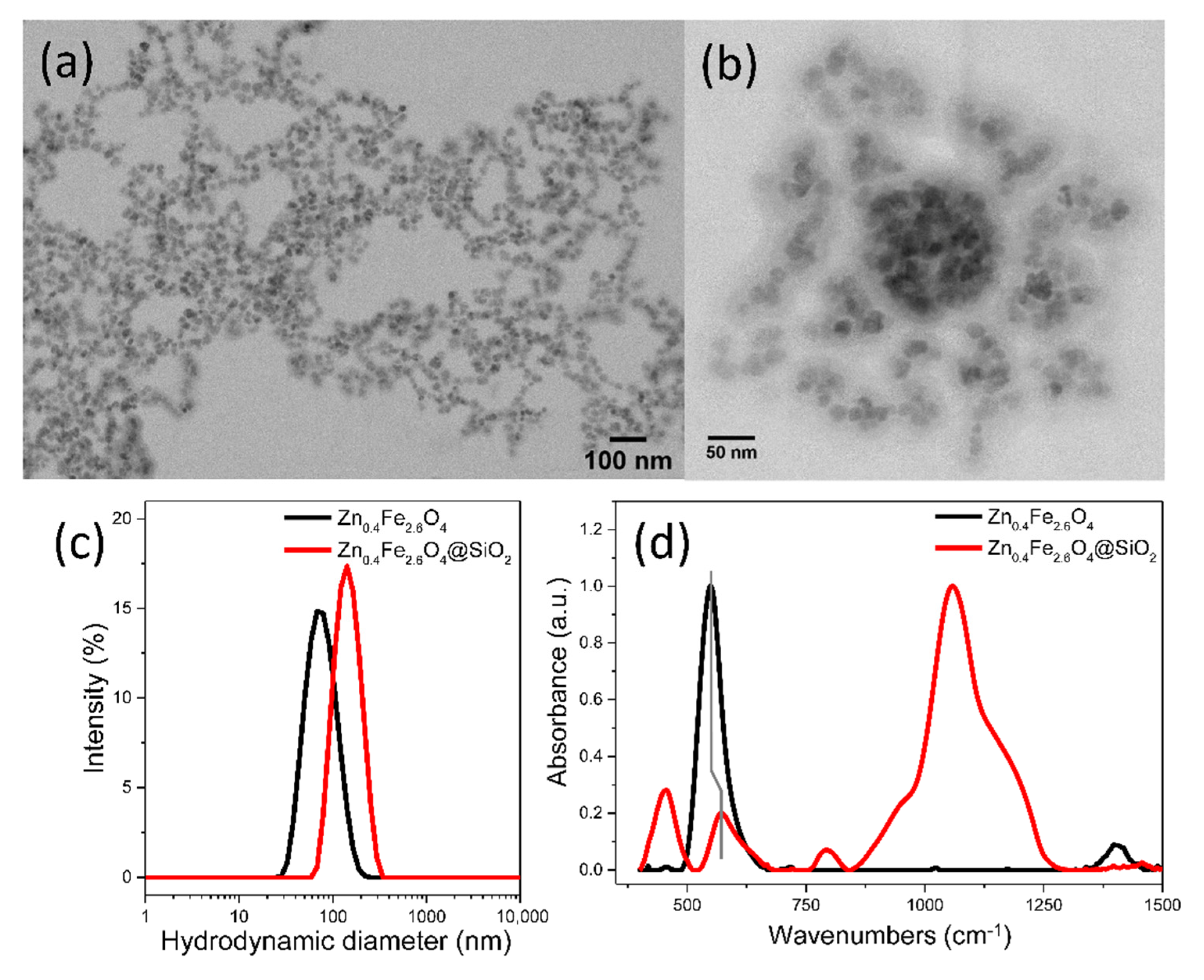 Biomedicines 10 01647 g003