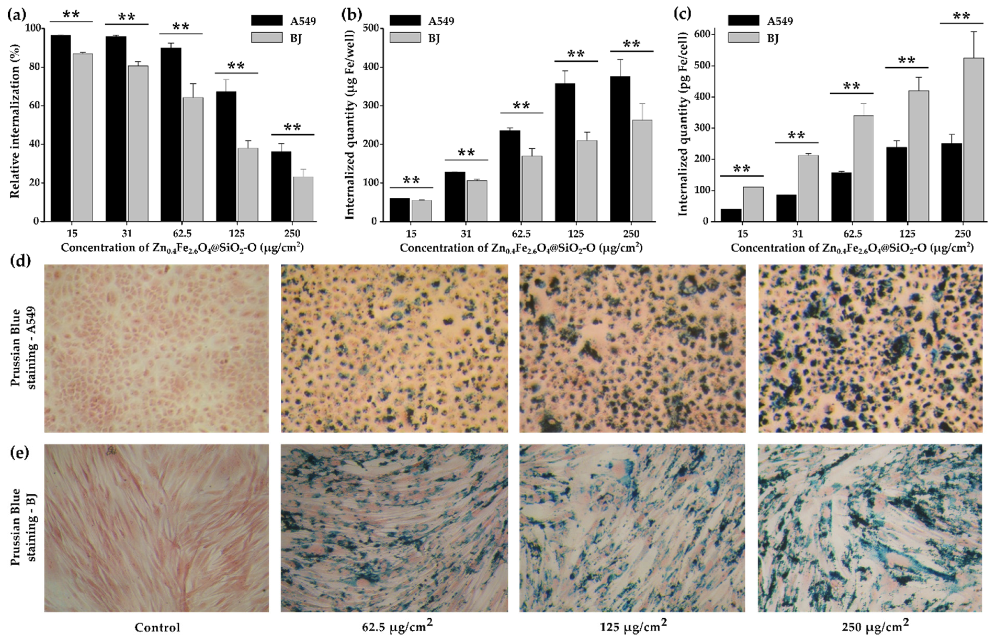 Biomedicines 10 01647 g005