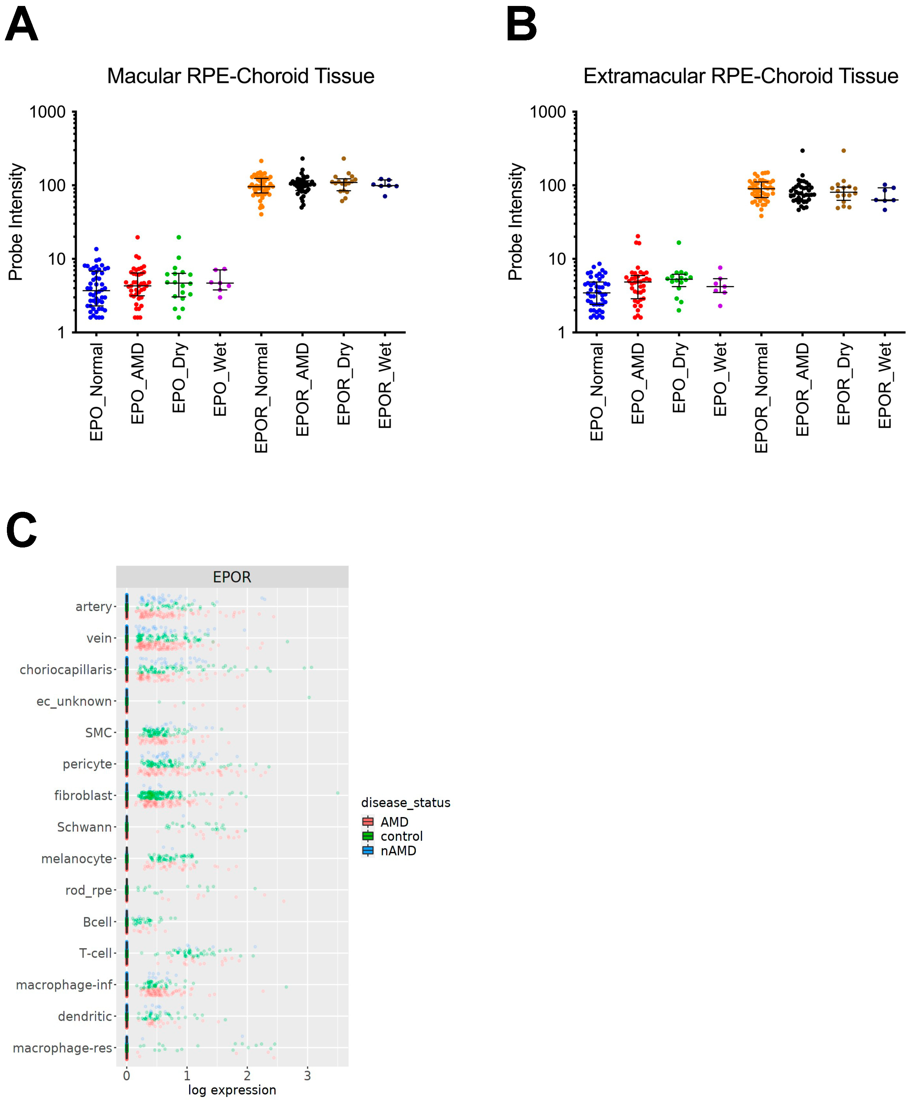 Biomedicines 10 01655 g001