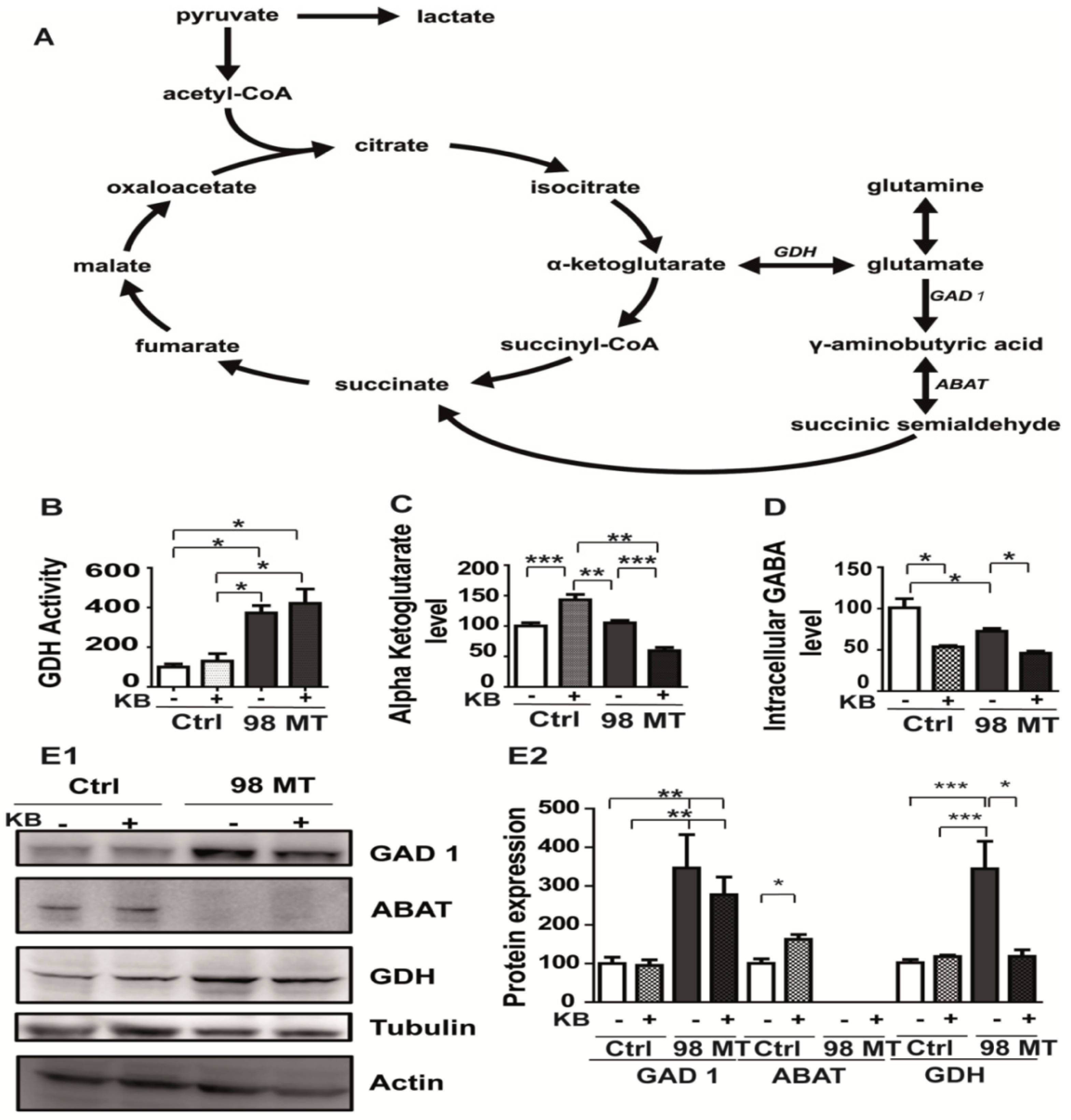 Biomedicines 10 01665 g006