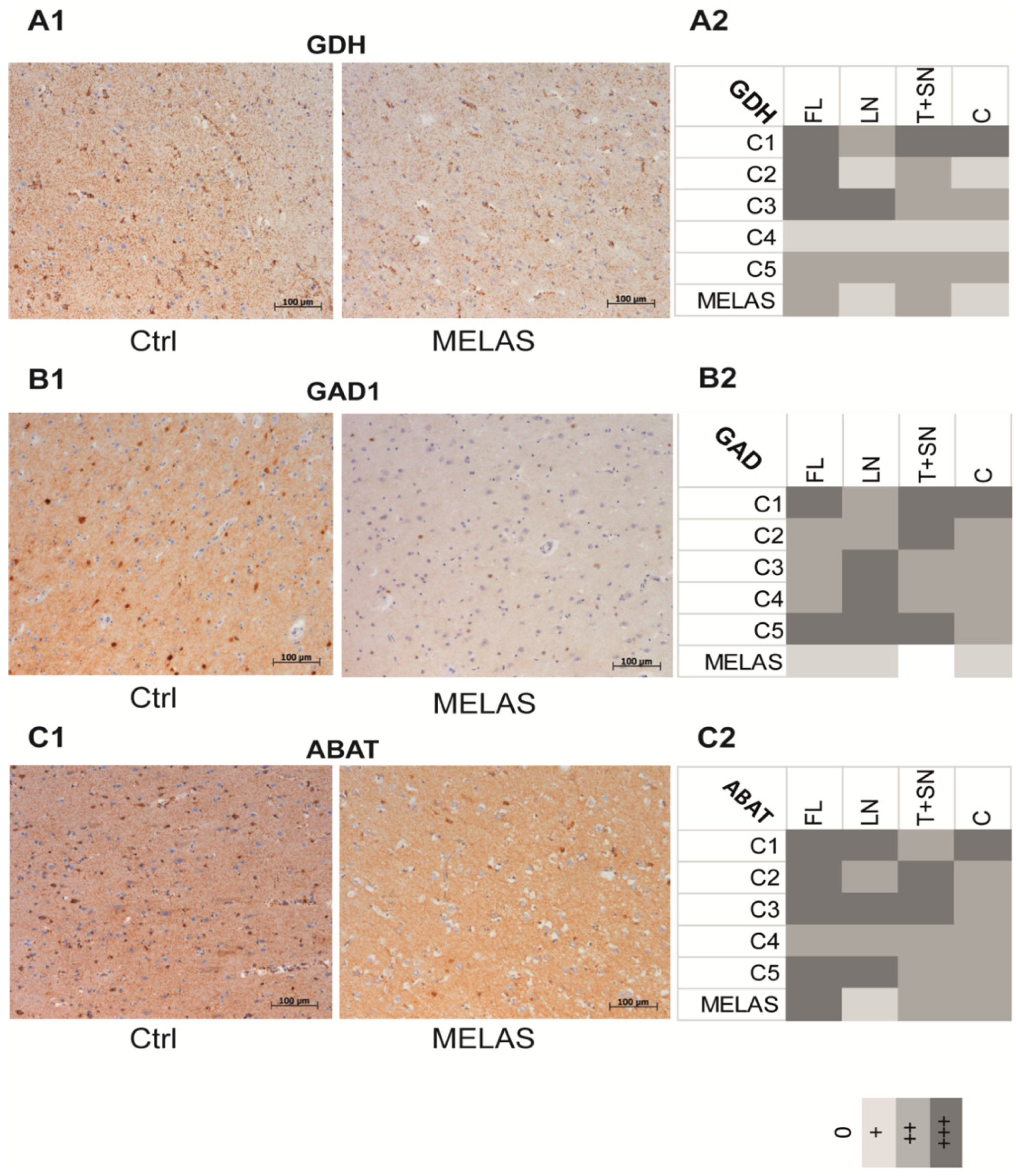 Biomedicines 10 01665 g008