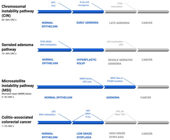 Biomedicines 10 01670 g001