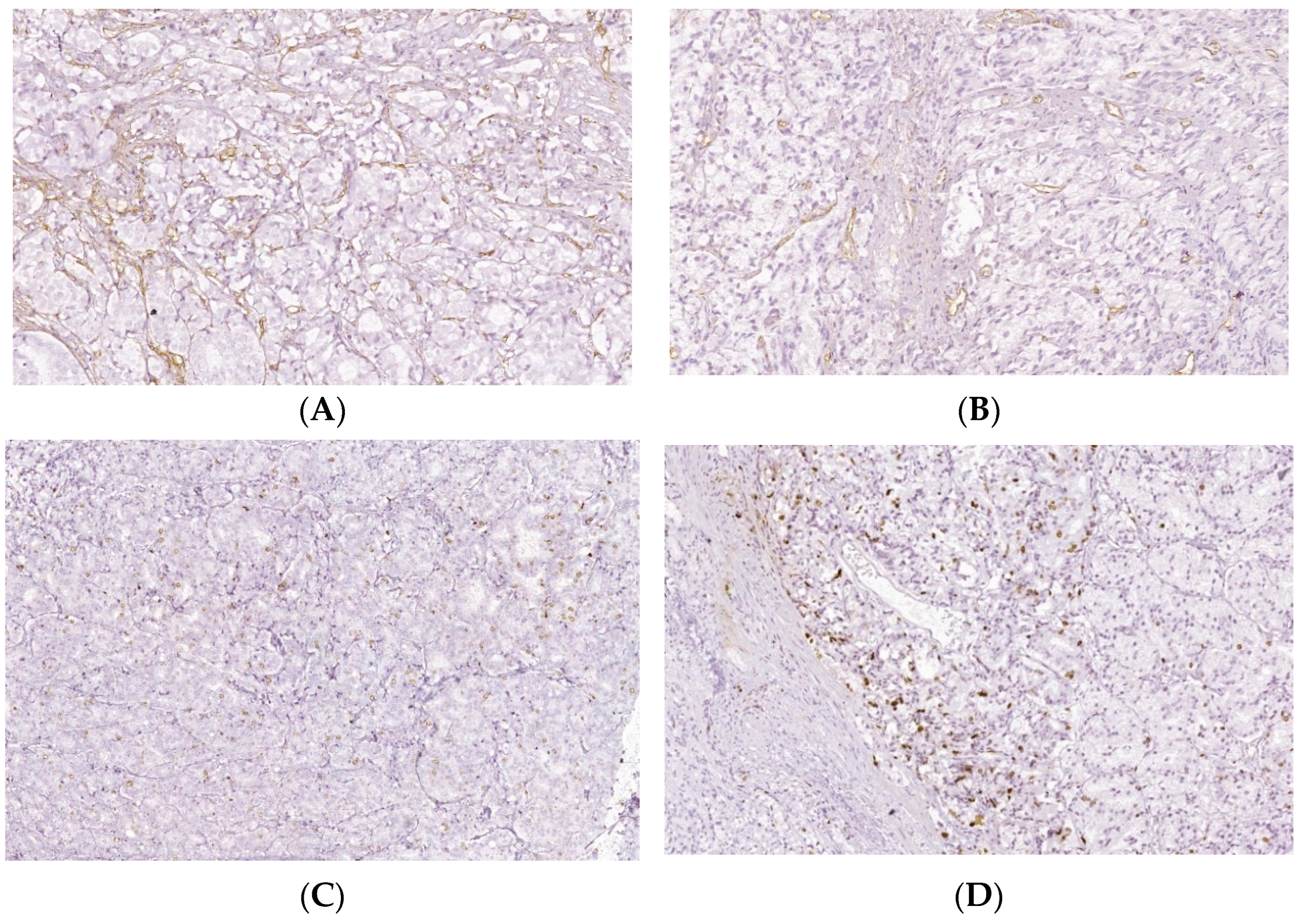 Biomedicines 10 01672 g006