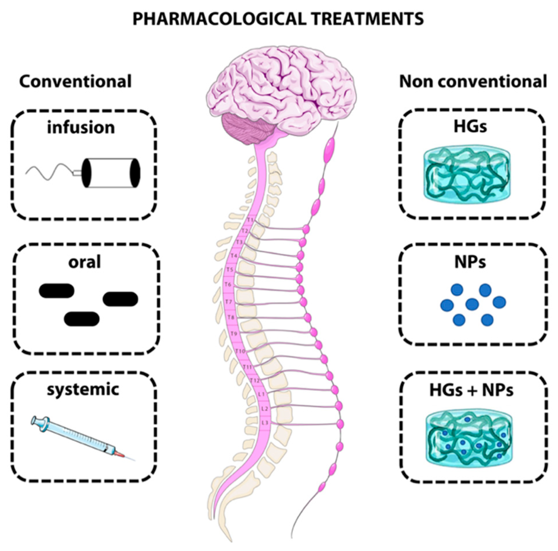 Biomedicines 10 01673 g001