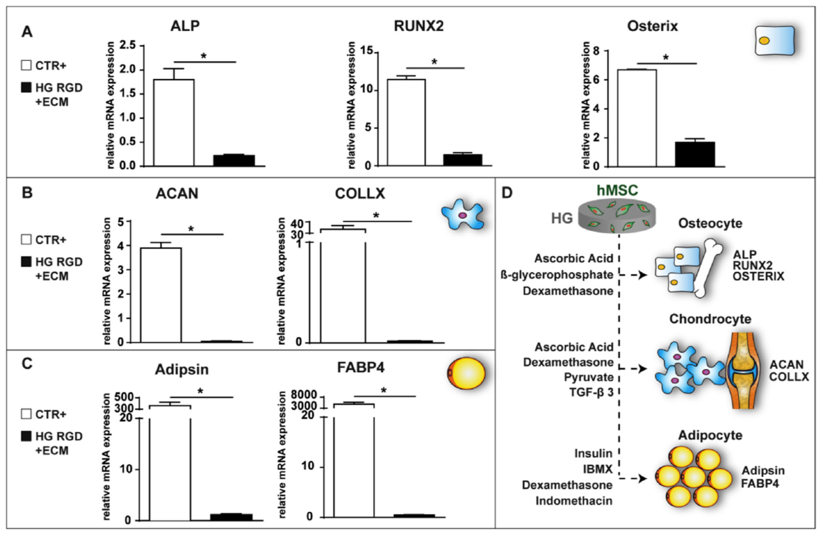 Biomedicines 10 01673 g002