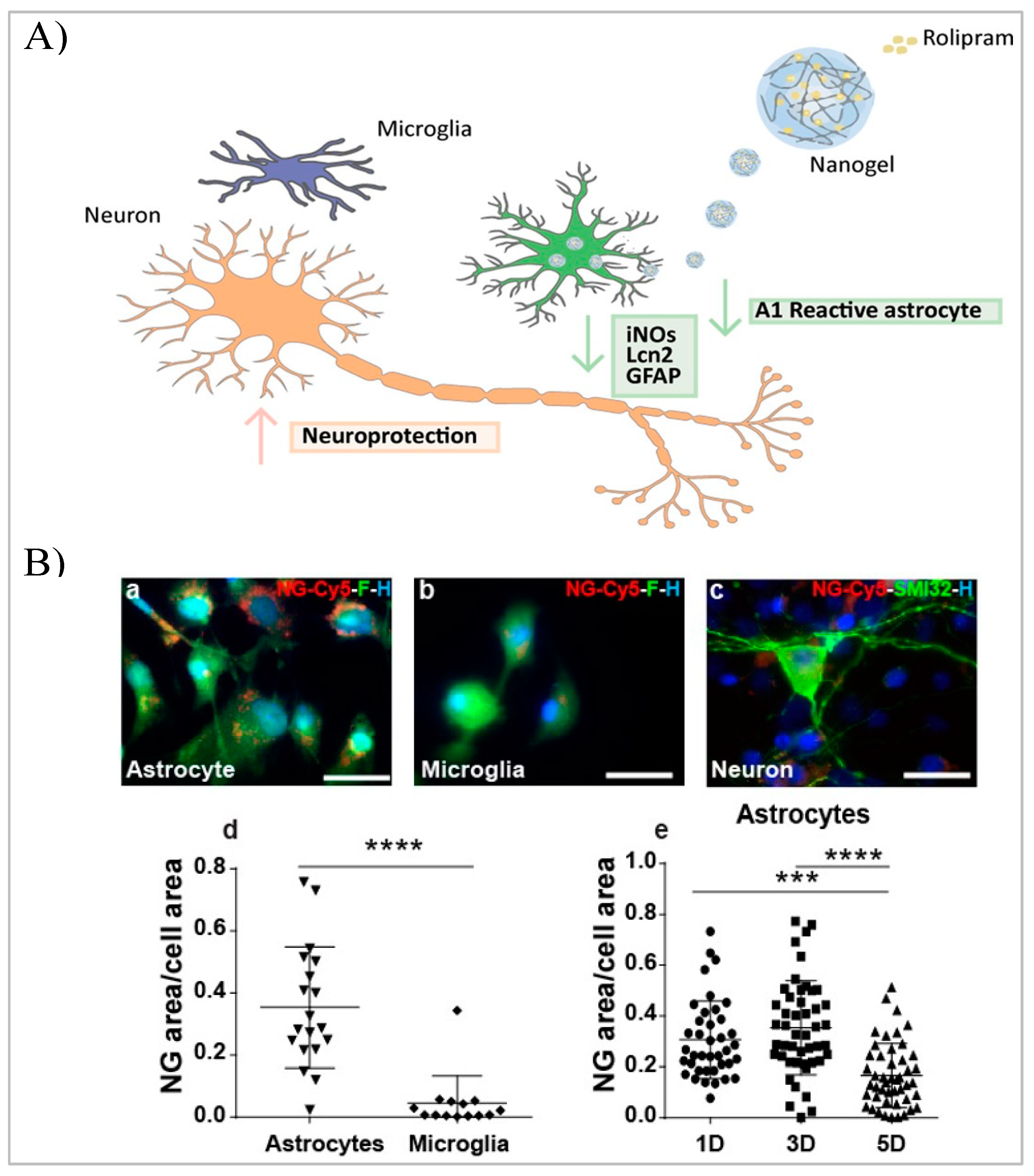 Biomedicines 10 01673 g005