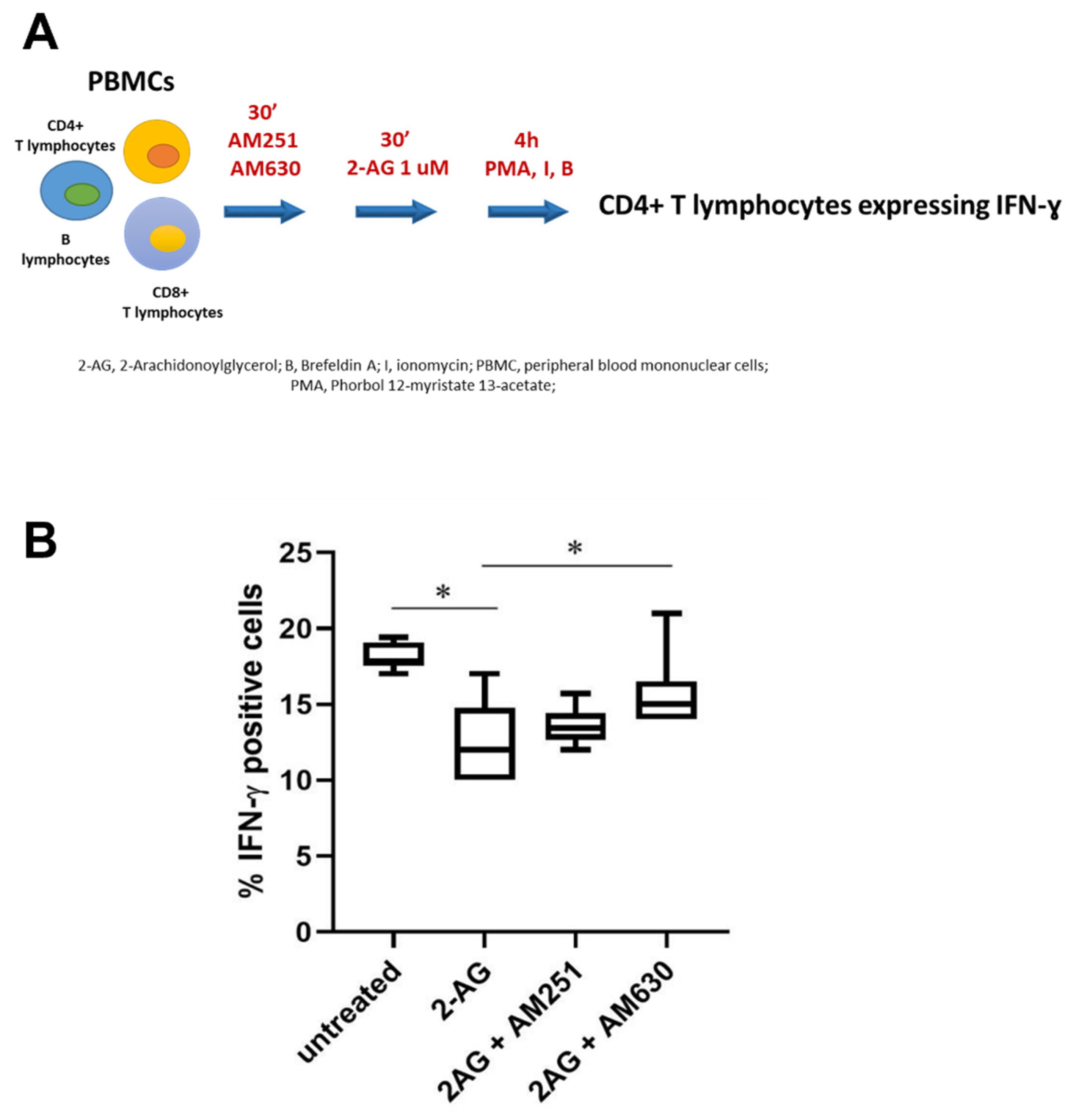 Biomedicines 10 01675 g003