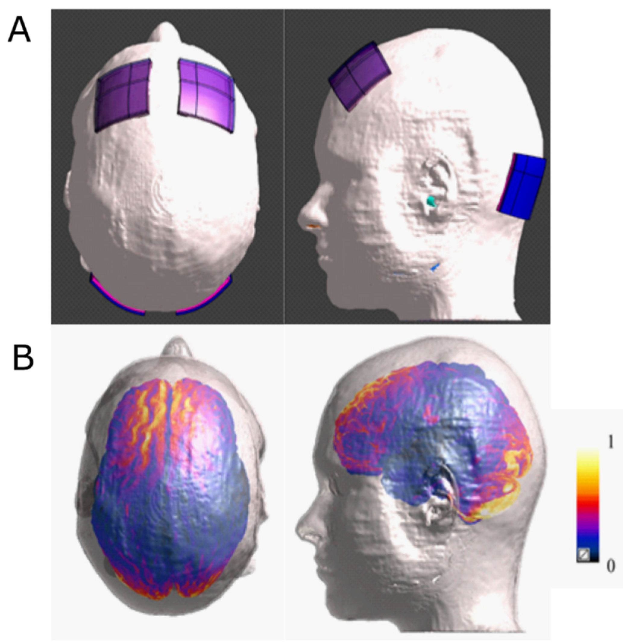 Biomedicines 10 01681 g001