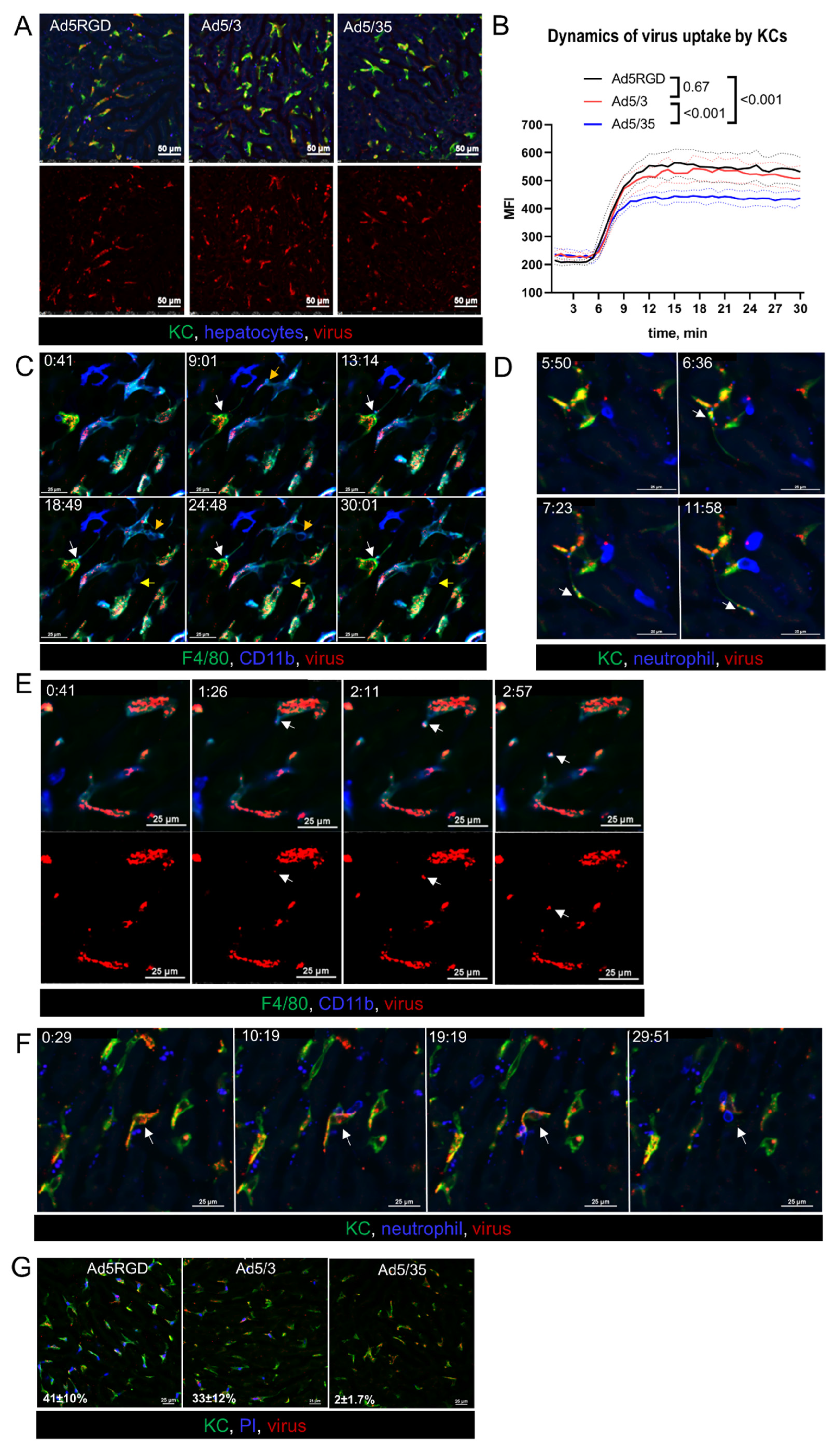 Biomedicines 10 01697 g002