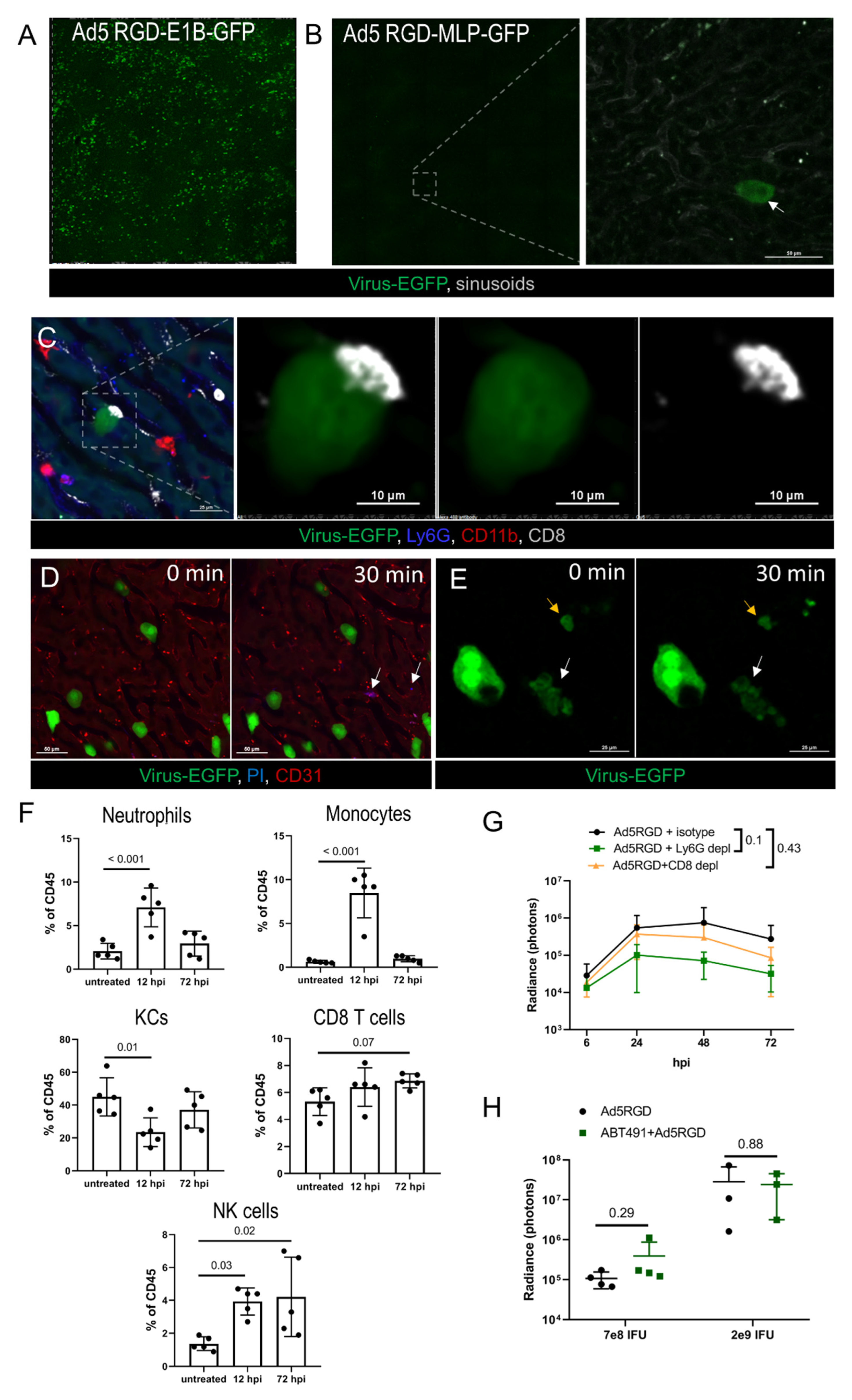 Biomedicines 10 01697 g003