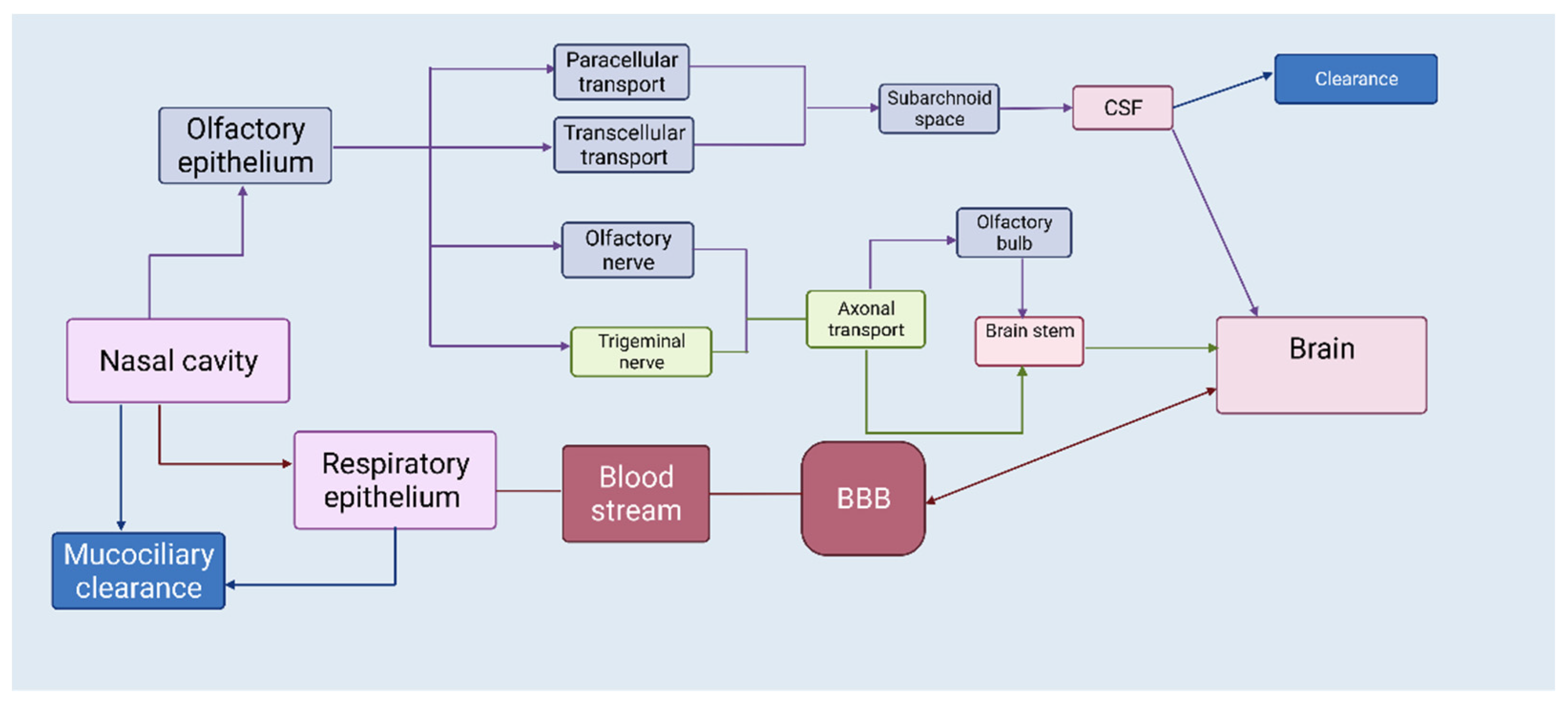 Biomedicines 10 01706 g002