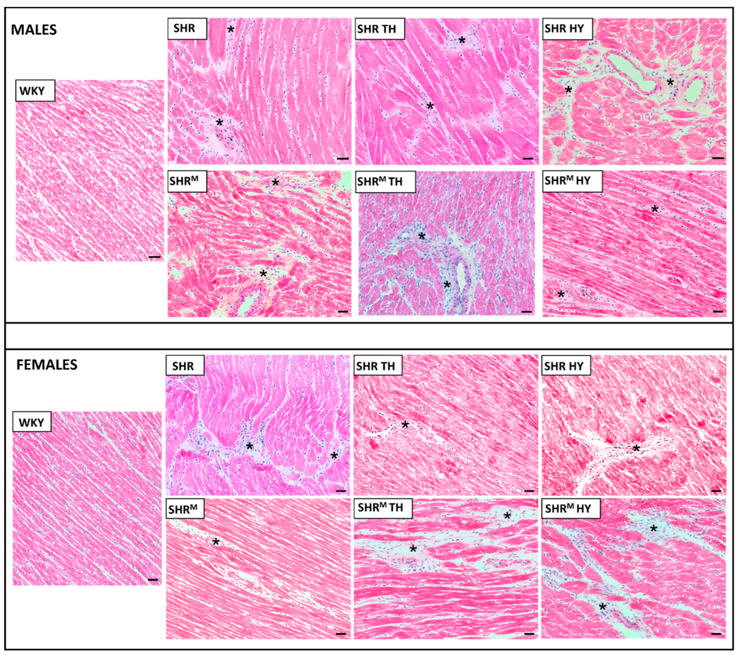 Biomedicines 10 01707 g001