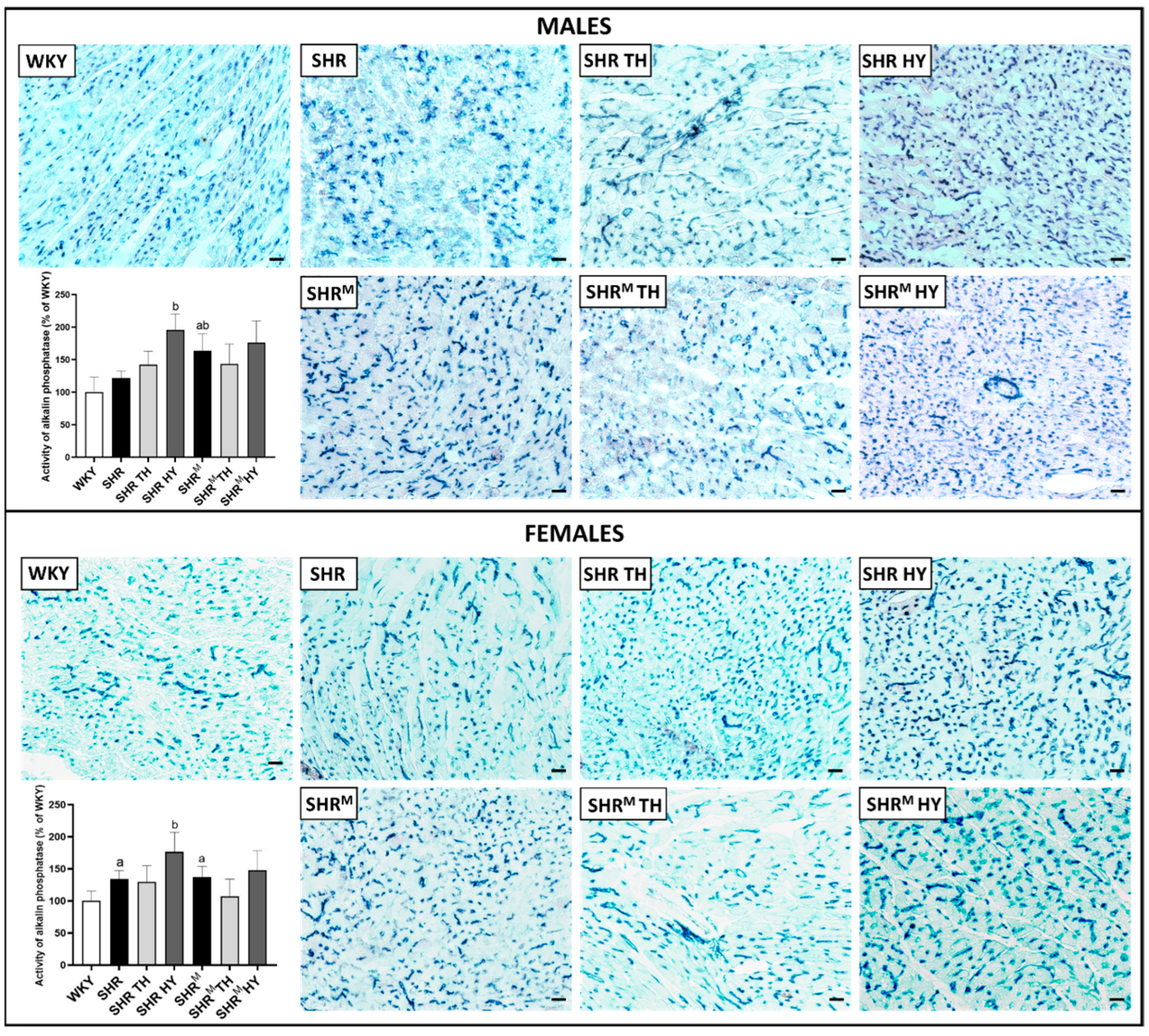 Biomedicines 10 01707 g003