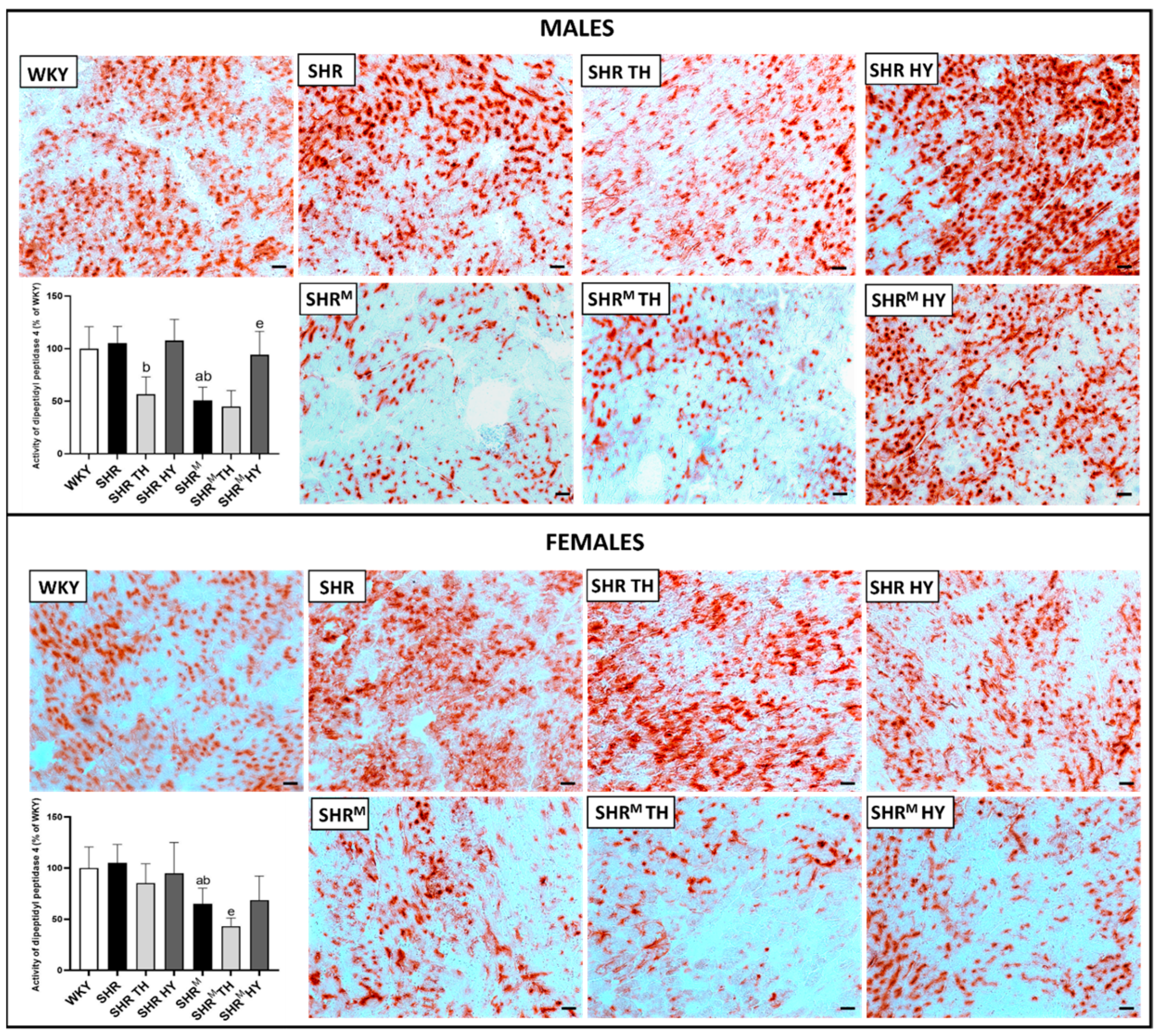 Biomedicines 10 01707 g004