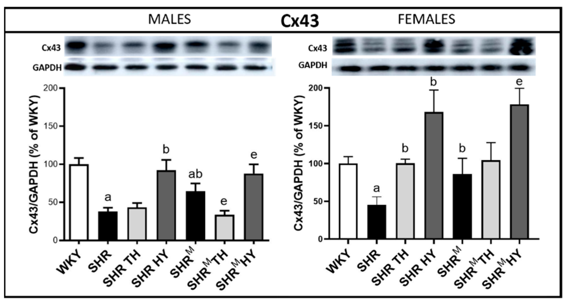 Biomedicines 10 01707 g005