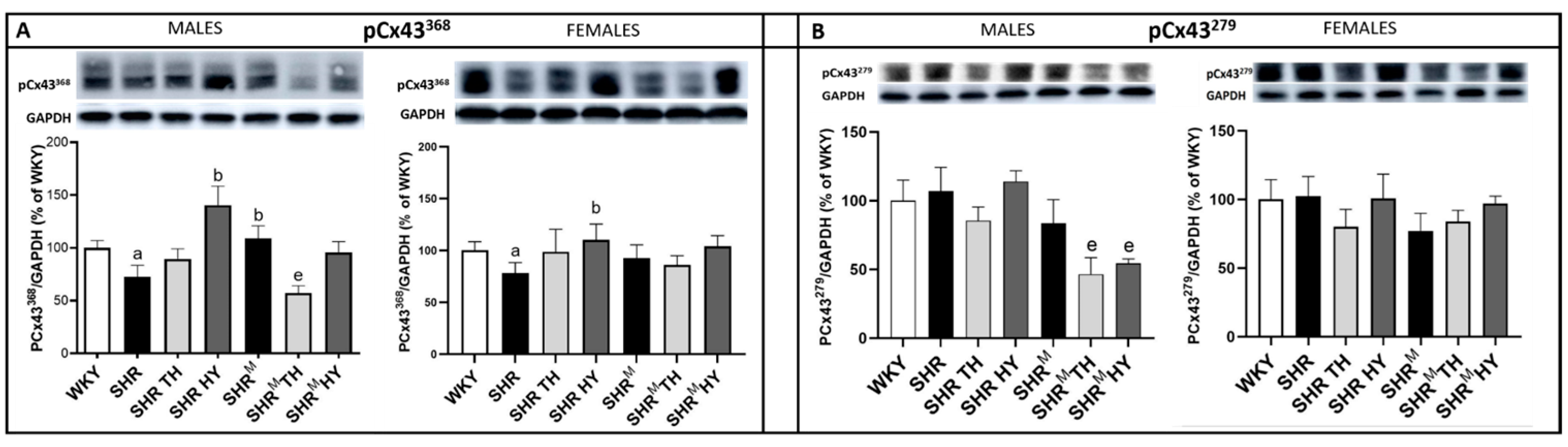 Biomedicines 10 01707 g006