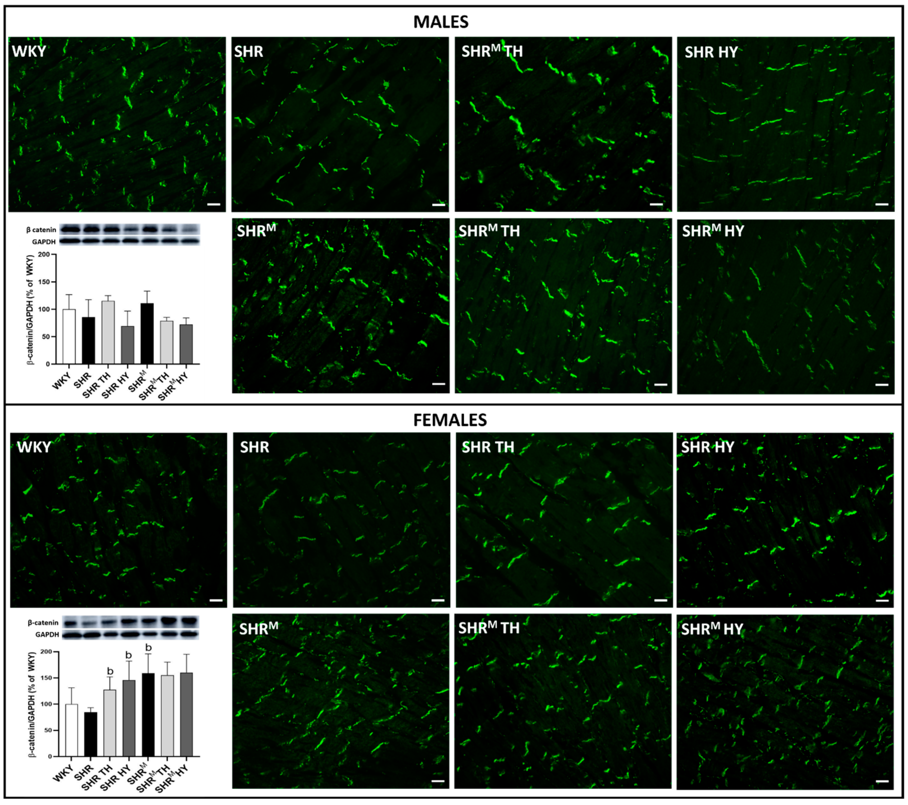 Biomedicines 10 01707 g008