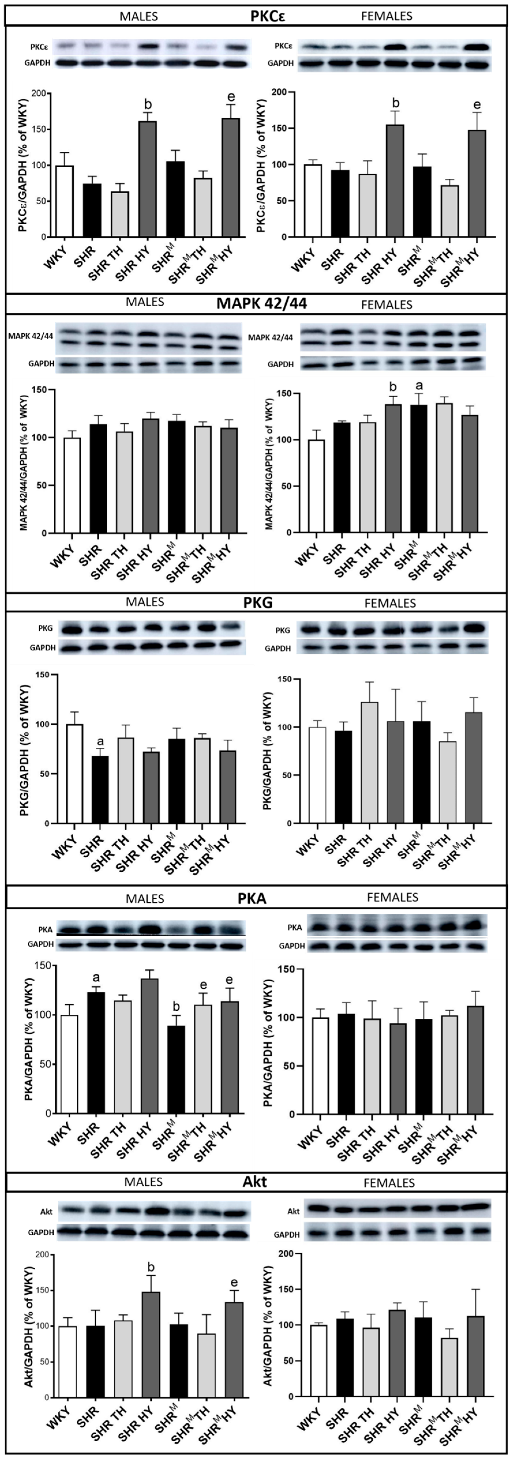 Biomedicines 10 01707 g009