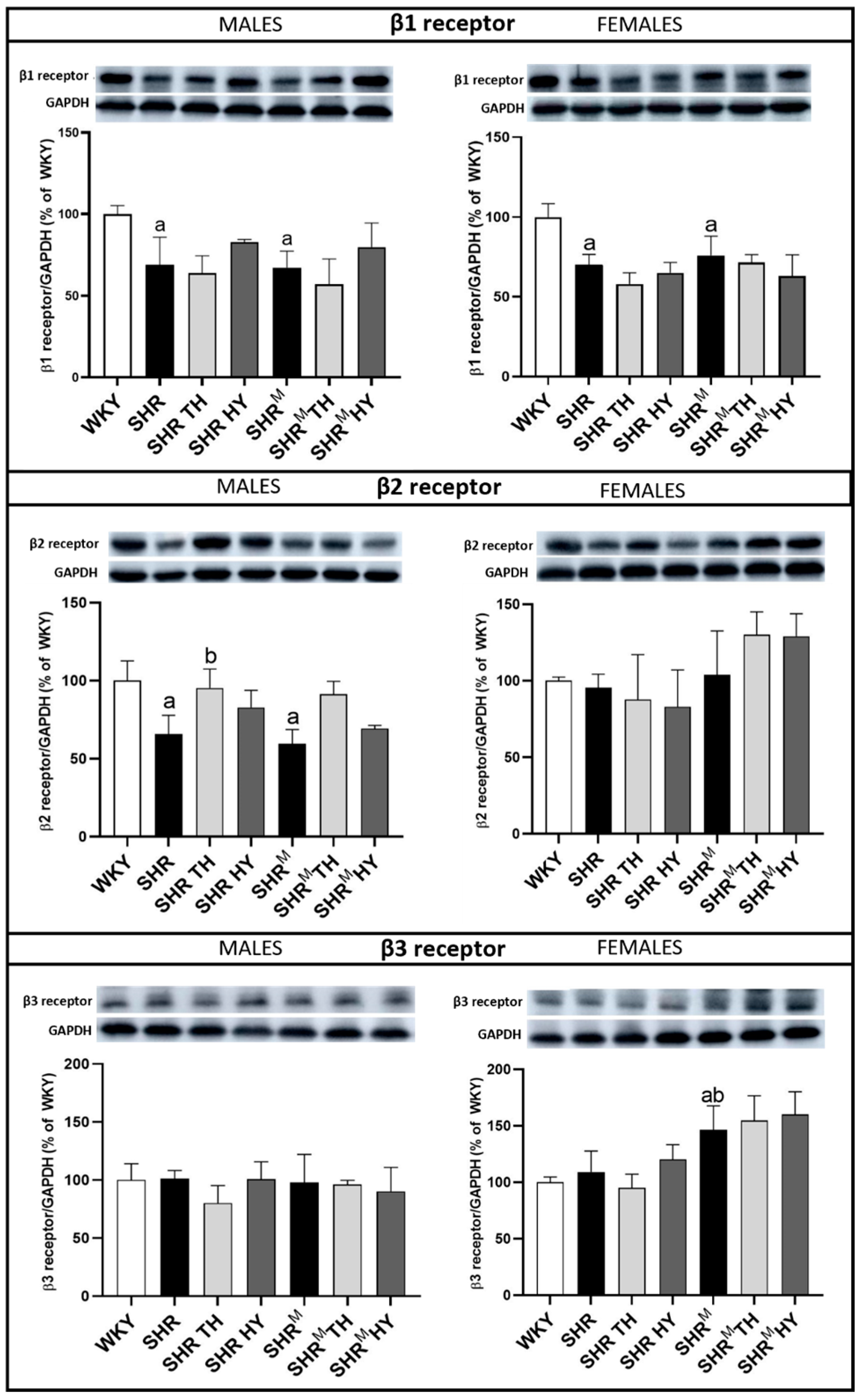 Biomedicines 10 01707 g011