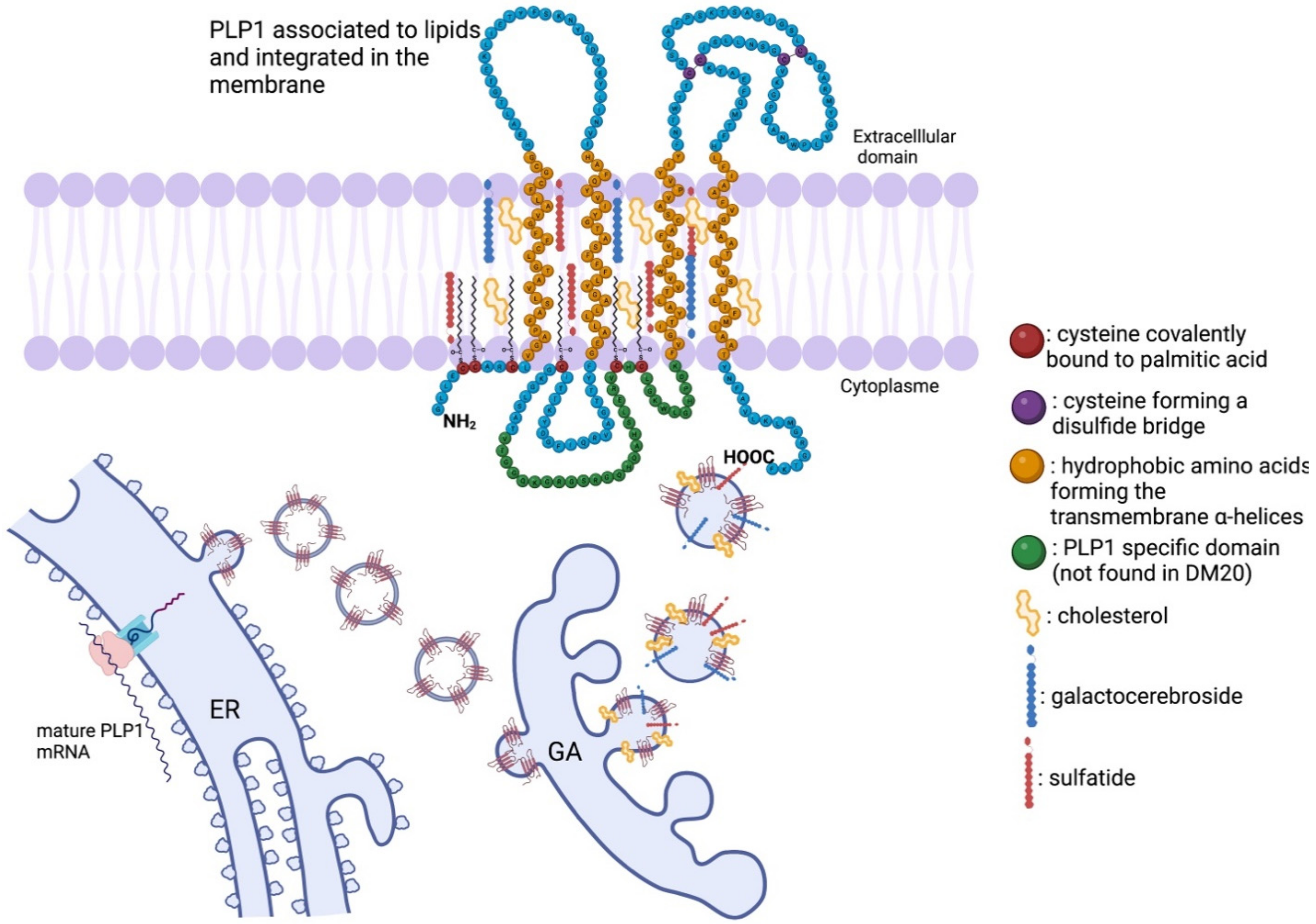 Biomedicines 10 01709 g003