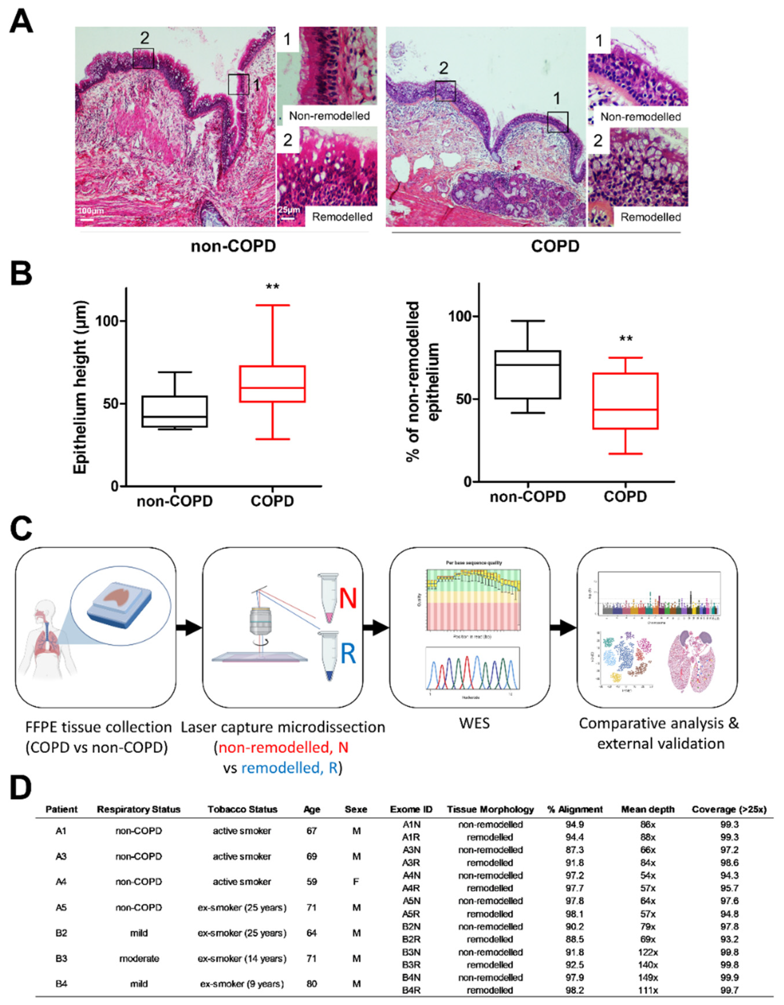 Biomedicines 10 01714 g001