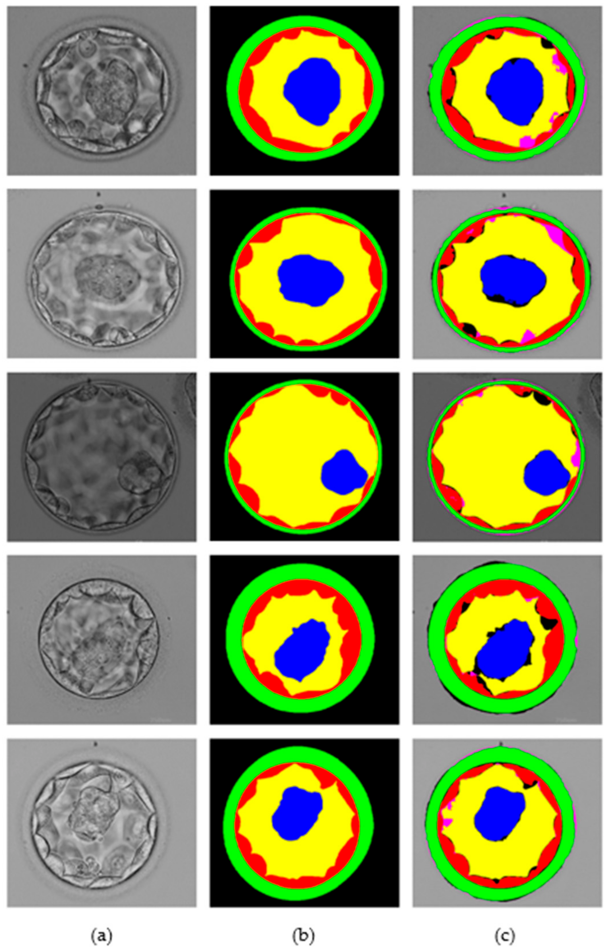 Biomedicines 10 01717 g006