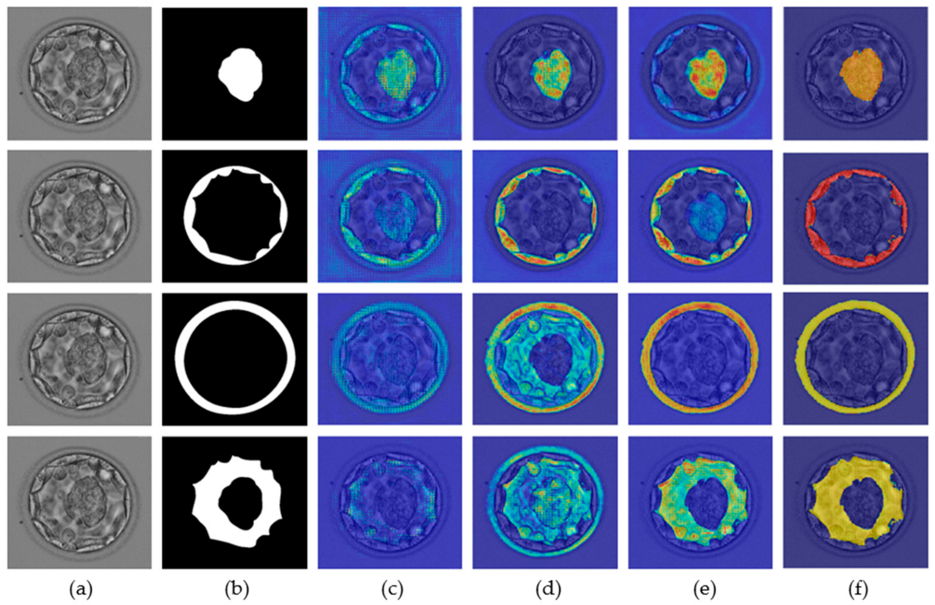 Biomedicines 10 01717 g007