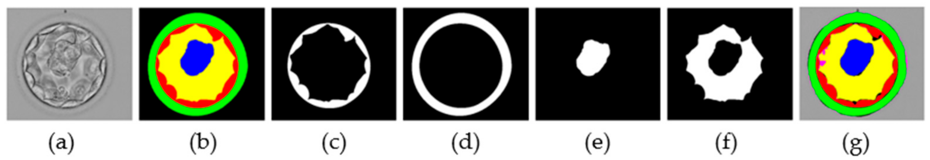 Biomedicines 10 01717 g008