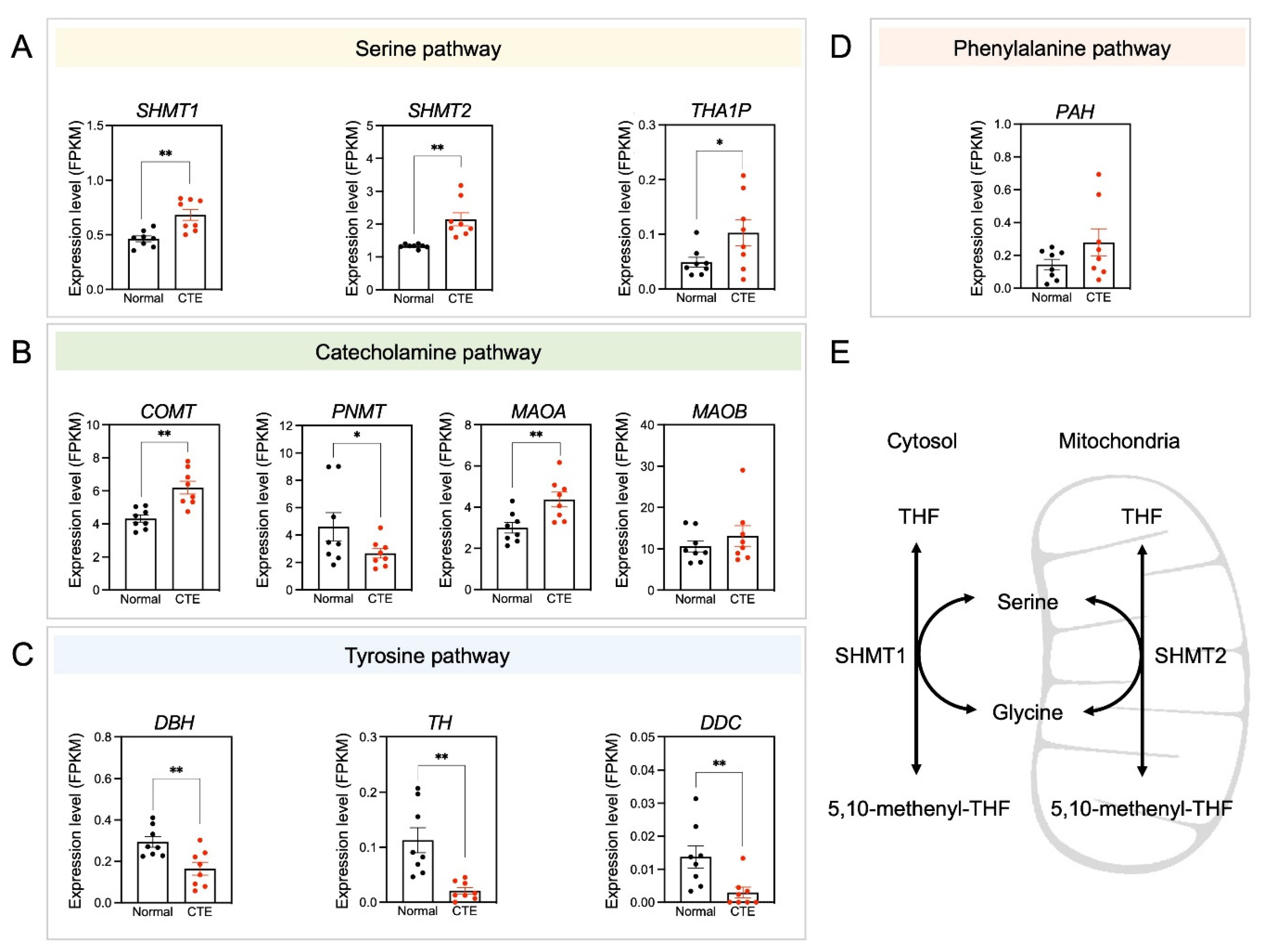Biomedicines 10 01718 g005