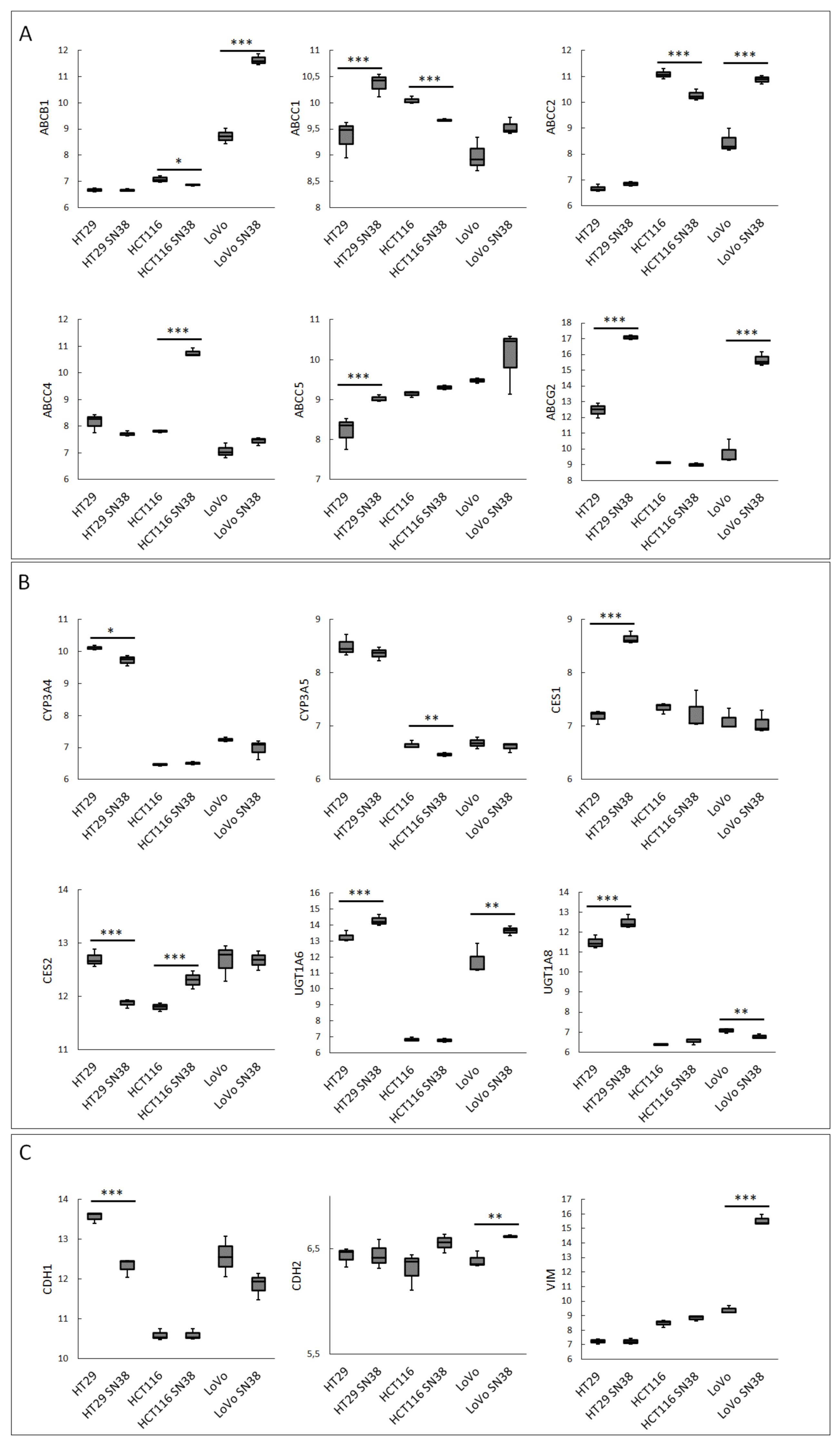 Biomedicines 10 01720 g001