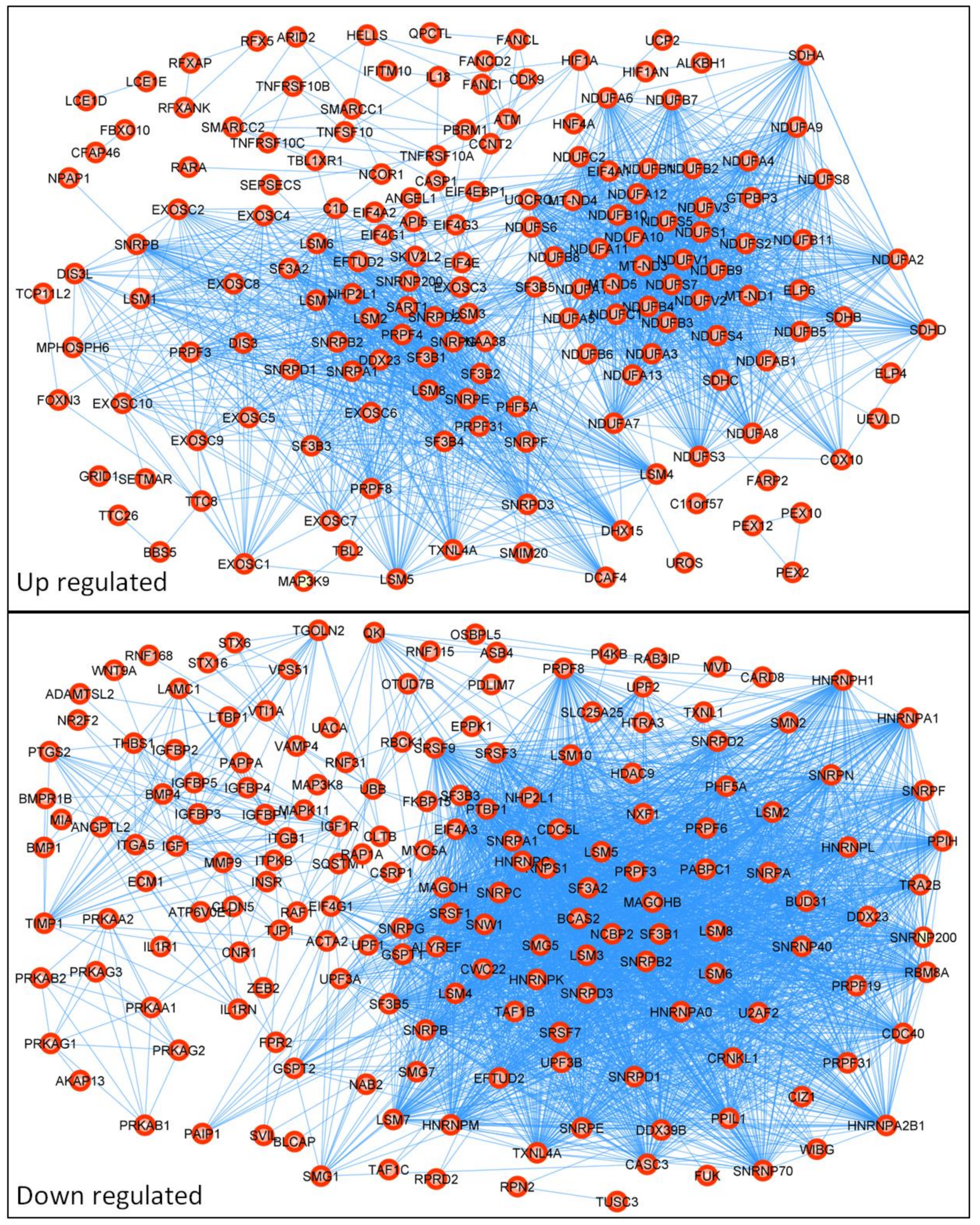 Biomedicines 10 01720 g003
