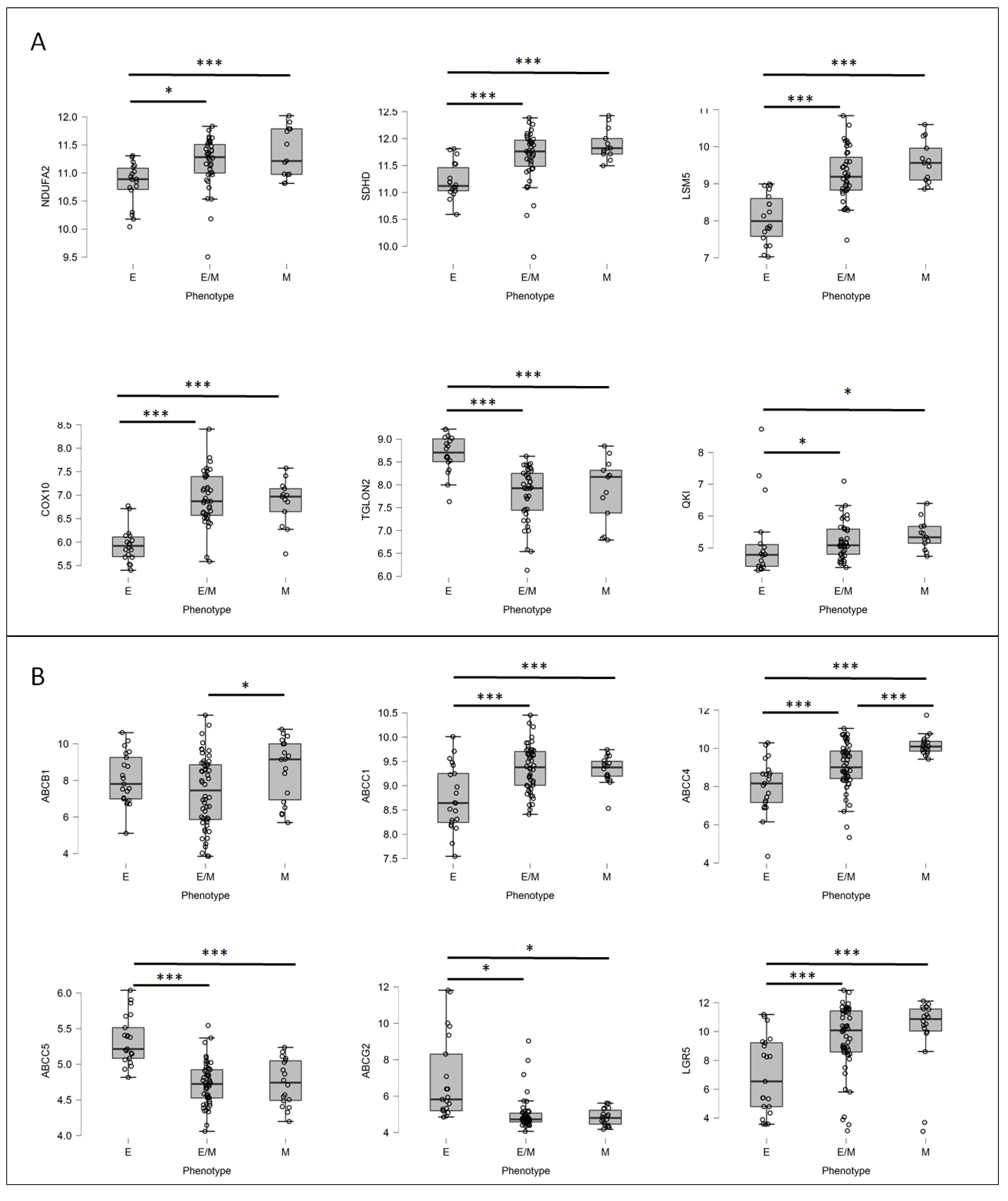 Biomedicines 10 01720 g008