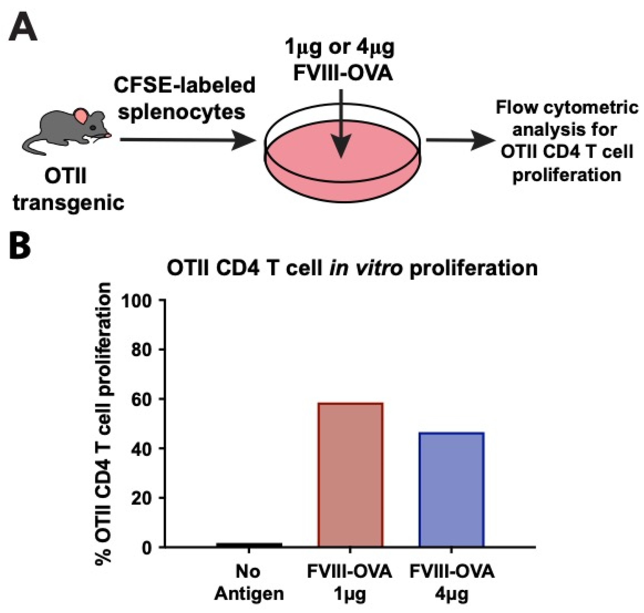 Biomedicines 10 01724 g002