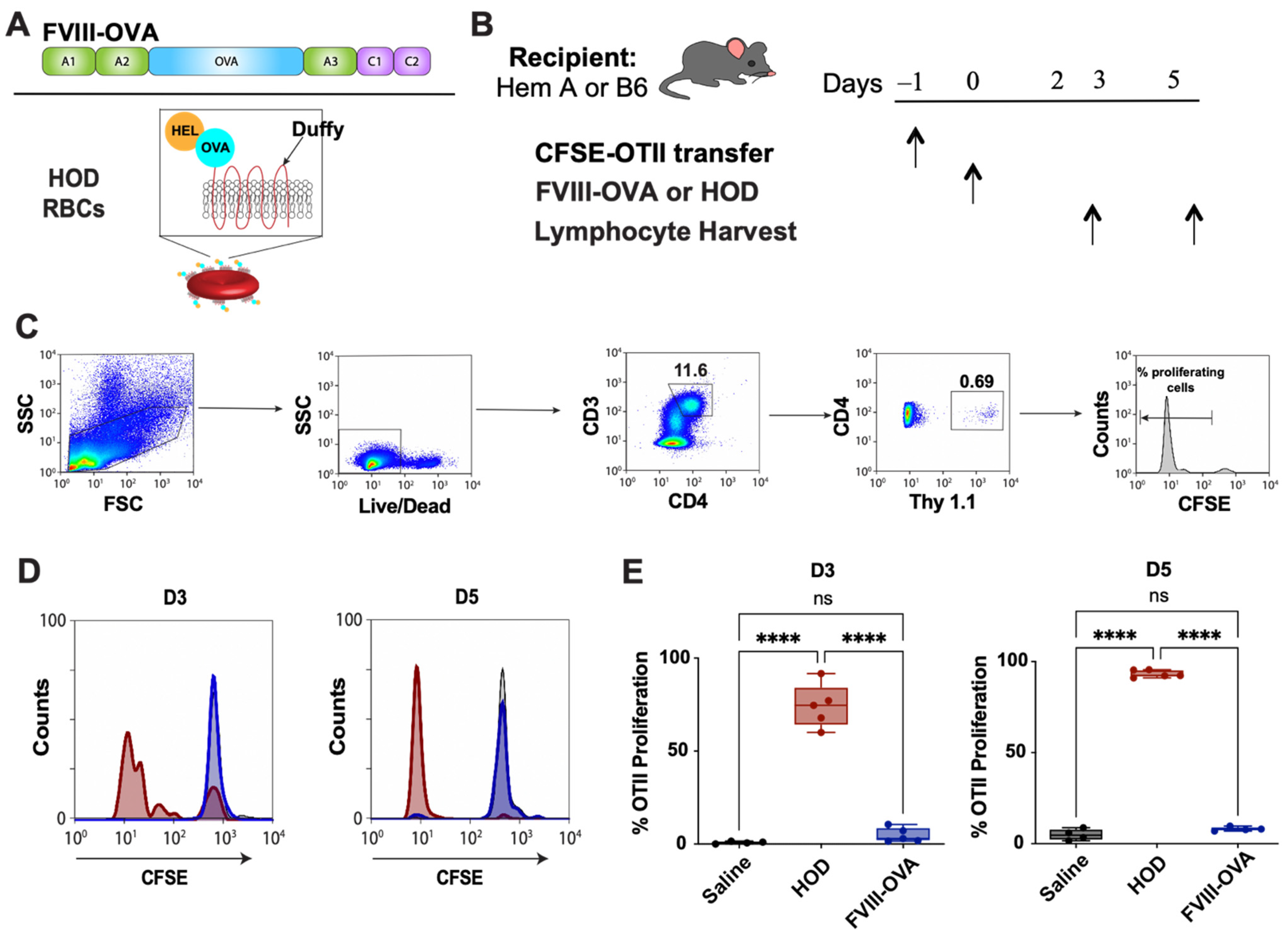 Biomedicines 10 01724 g004