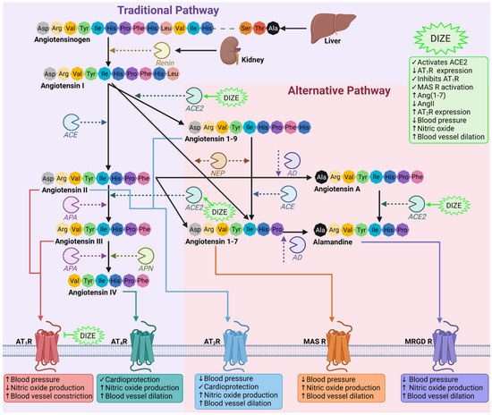 Biomedicines 10 01731 g001 550