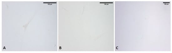 Biomedicines 10 01732 g0a1 550