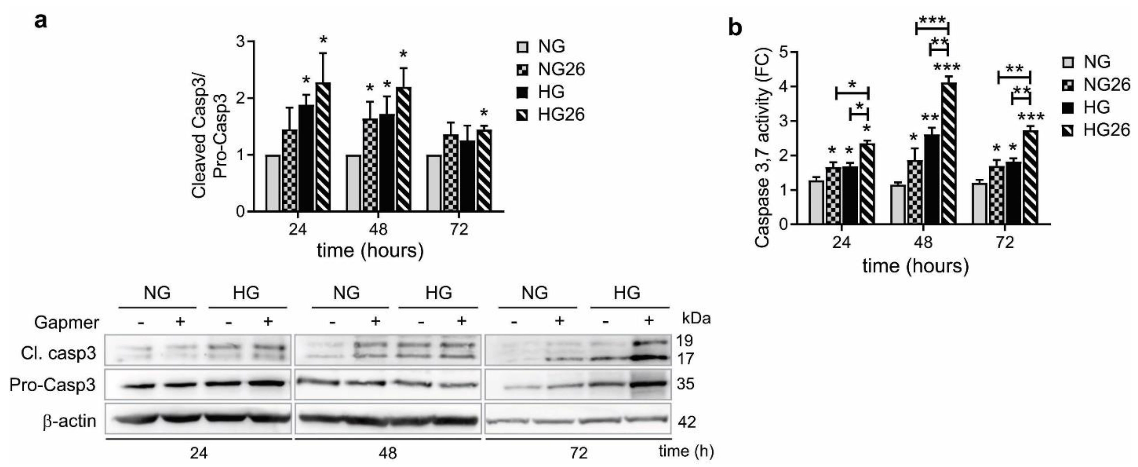 Biomedicines 10 01736 g006 Biomedicines 10 01736 g006