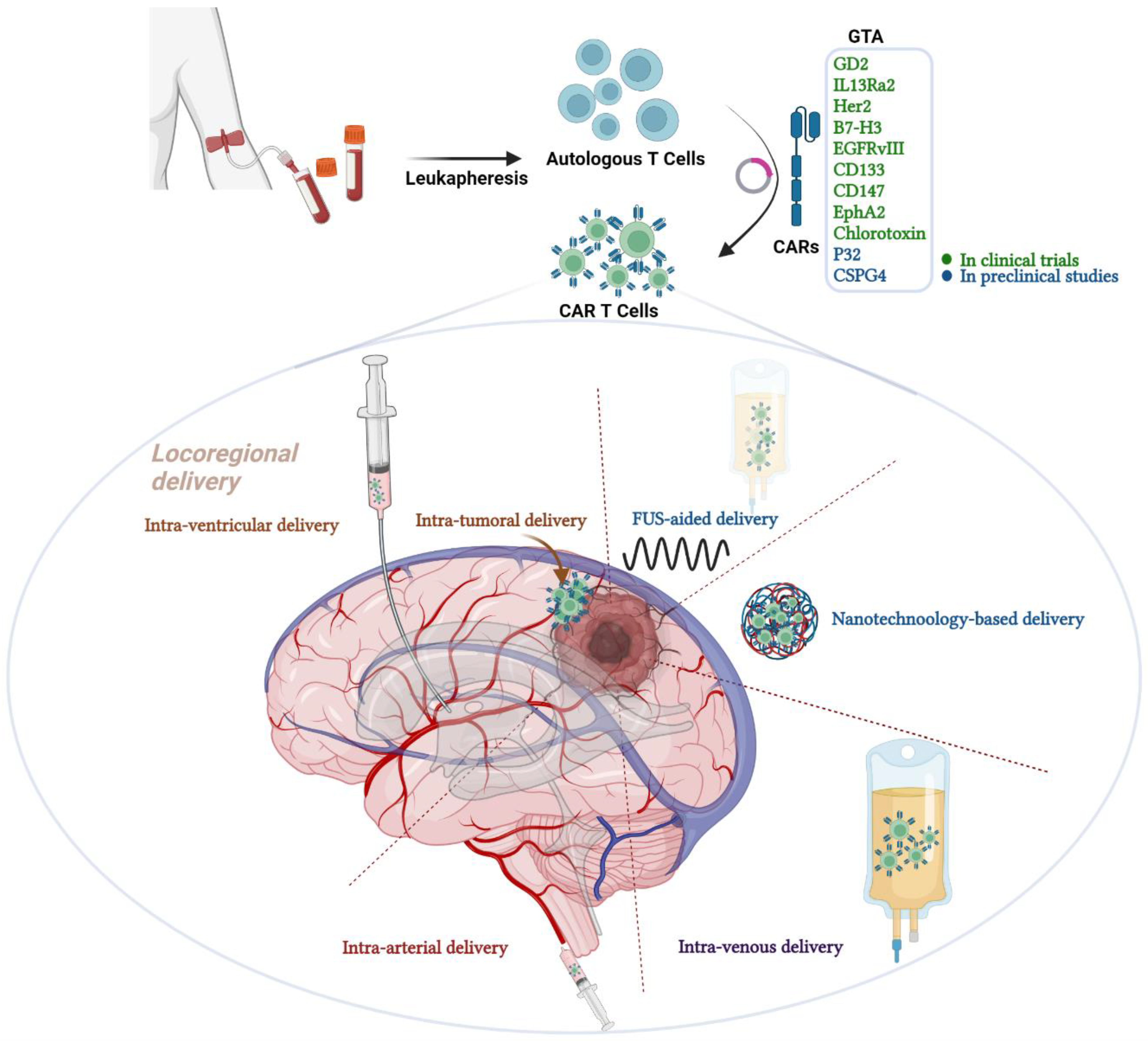 Biomedicines 10 01738 g001