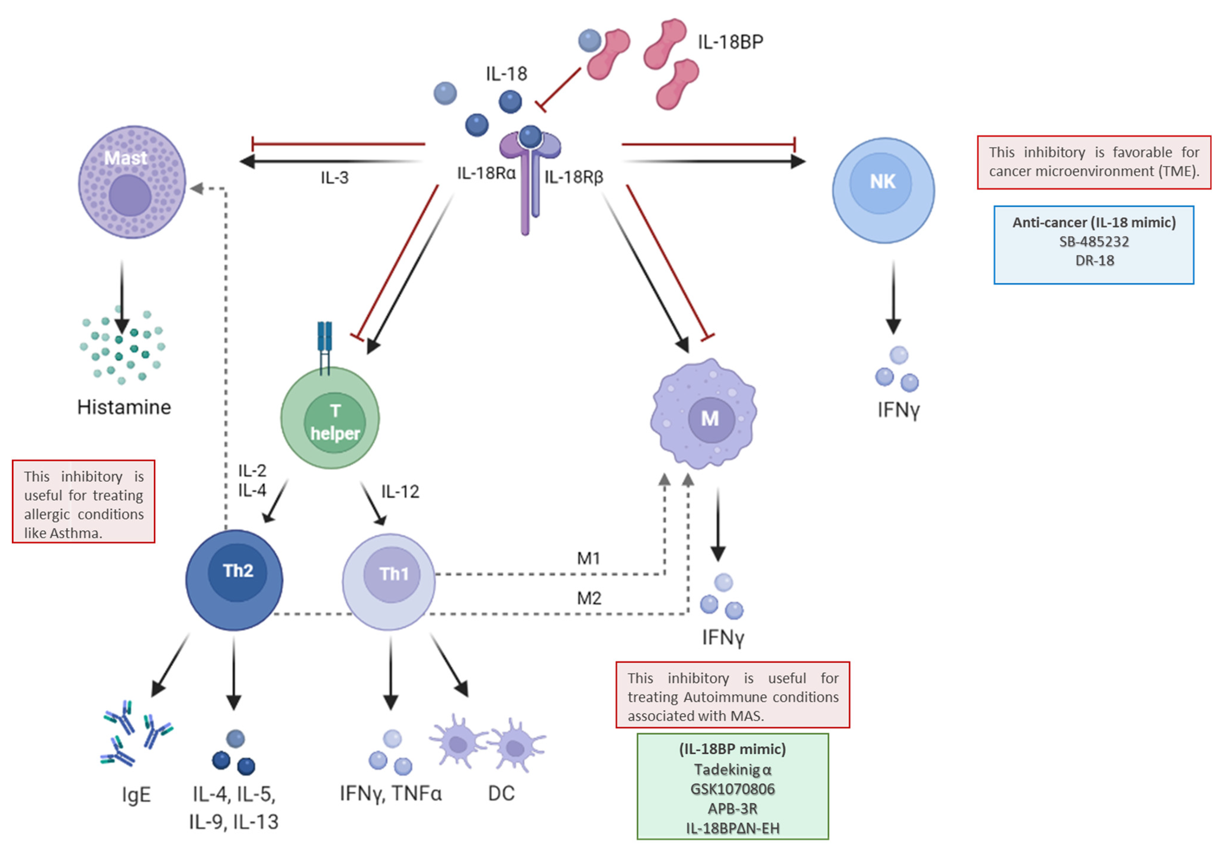 Biomedicines 10 01750 g004
