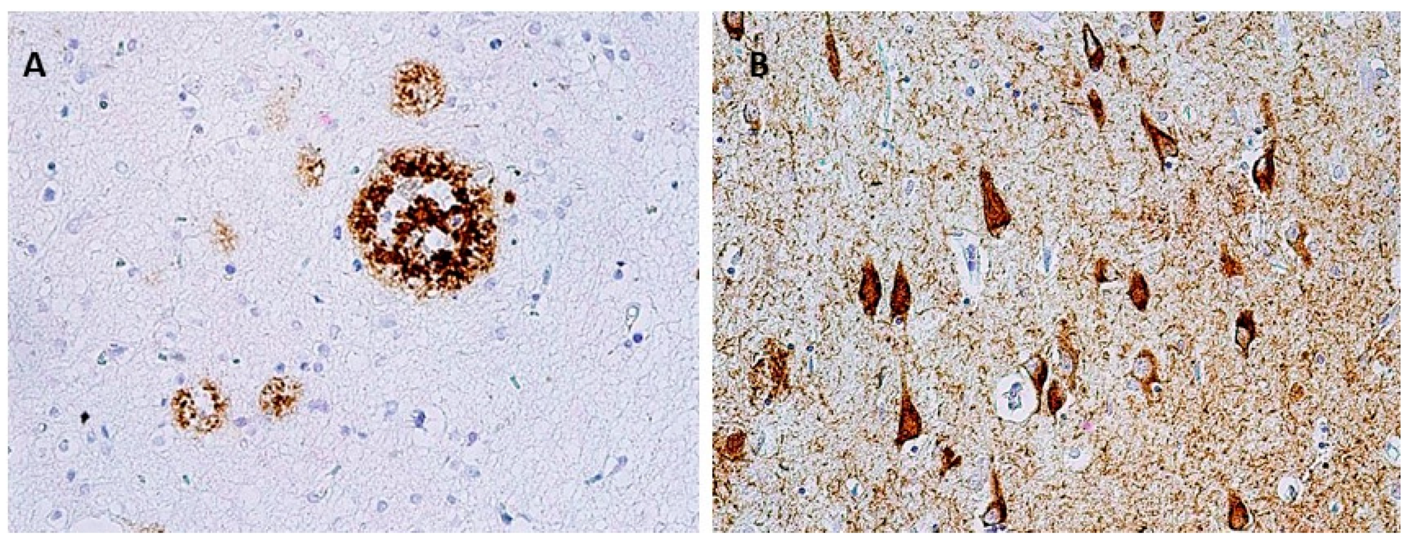 Biomedicines 10 01760 g001