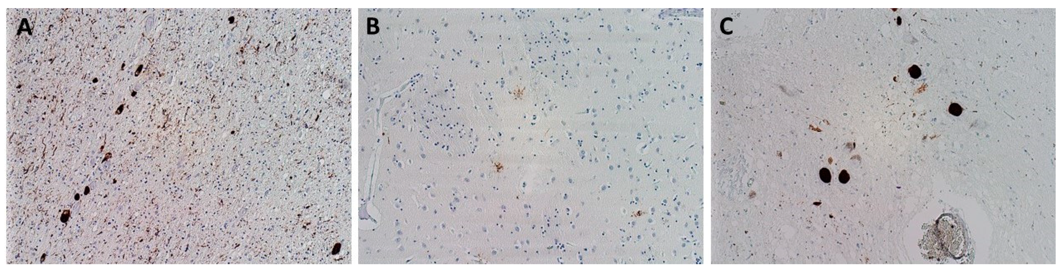 Biomedicines 10 01760 g004