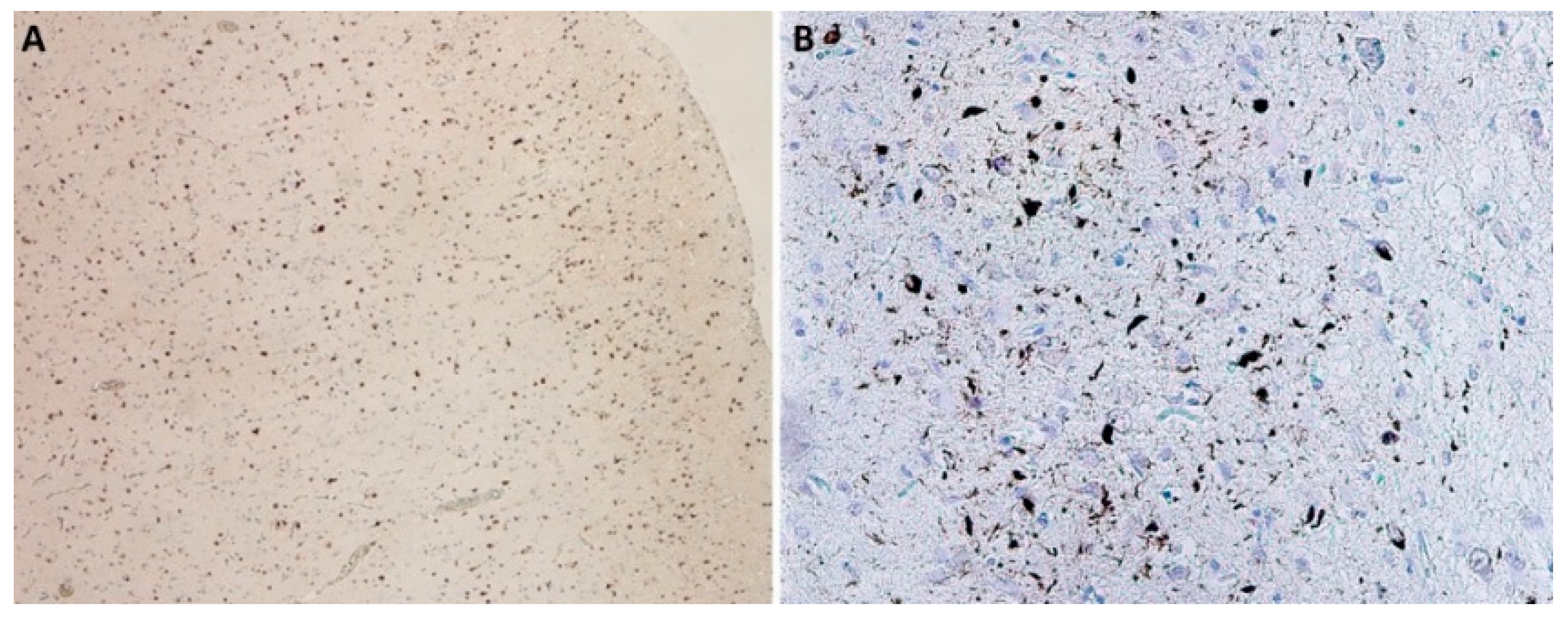 Biomedicines 10 01760 g005