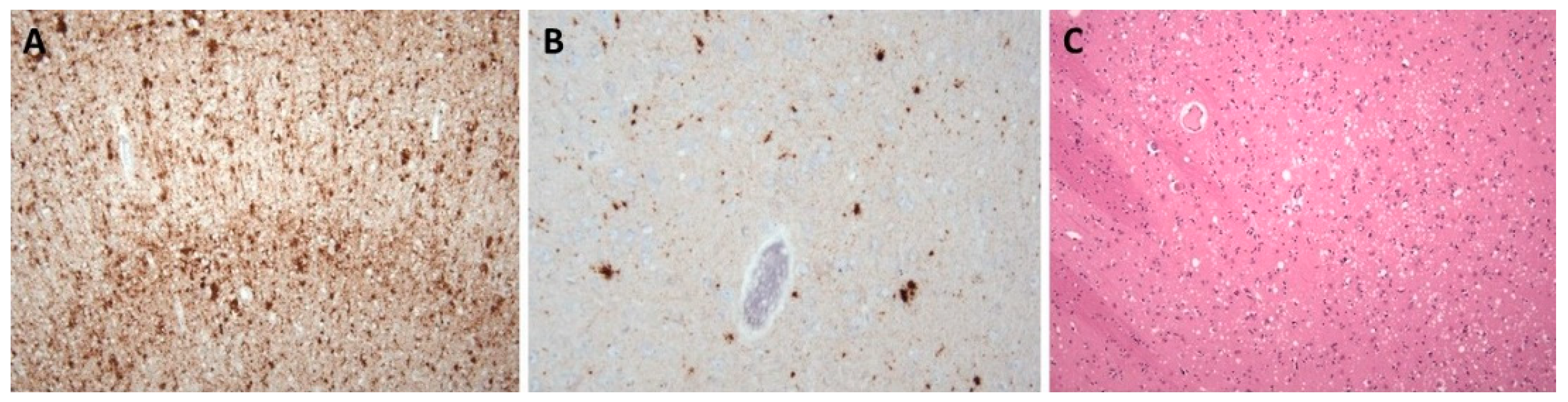 Biomedicines 10 01760 g006