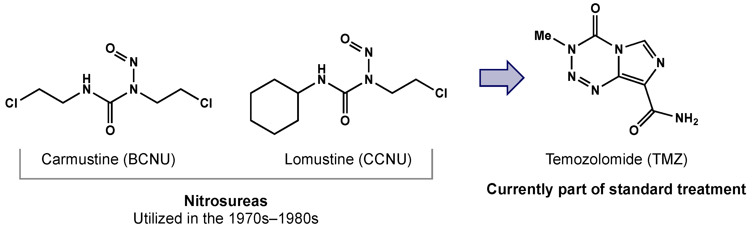 Biomedicines 10 01763 g001