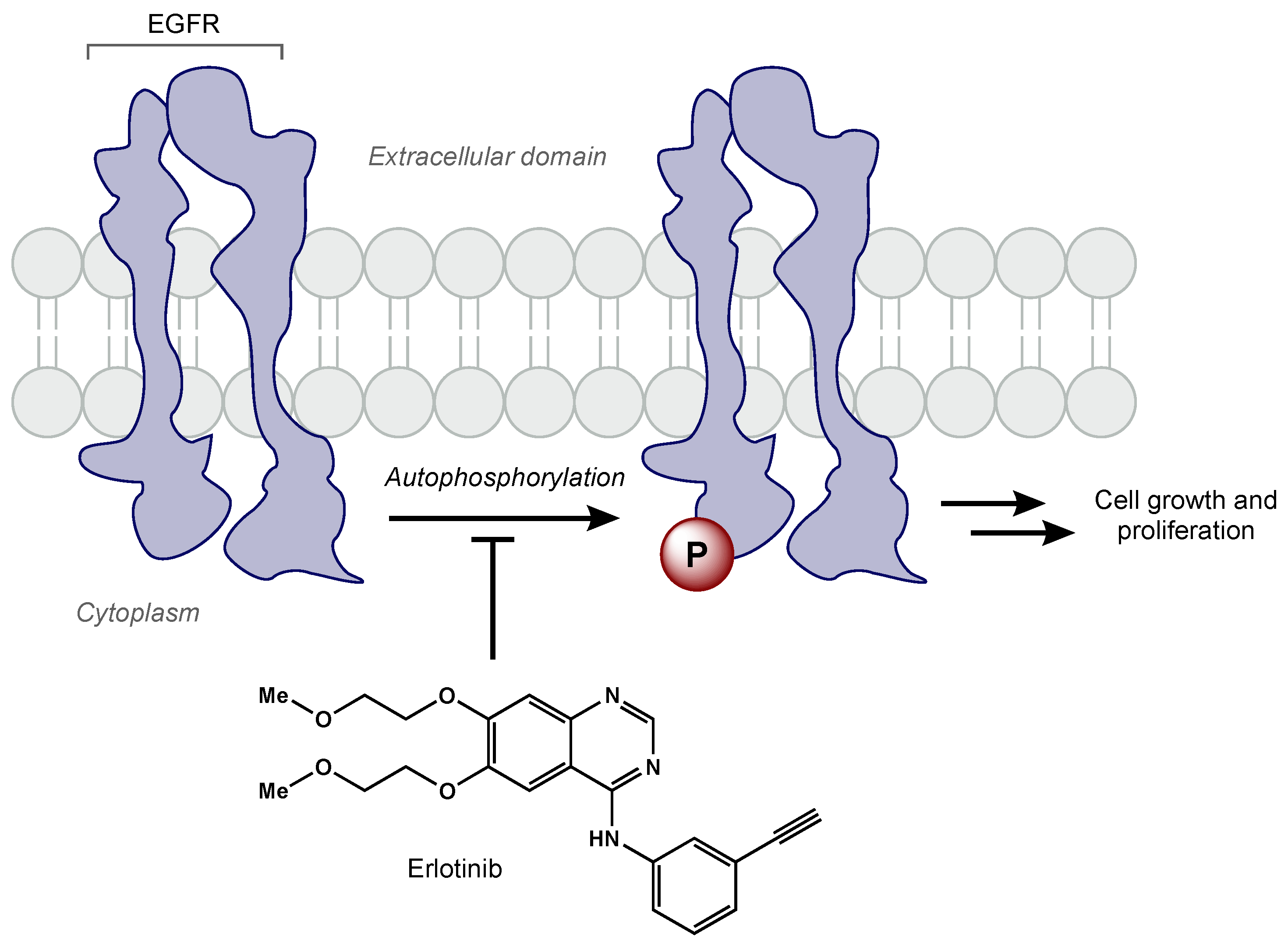Biomedicines 10 01763 g003