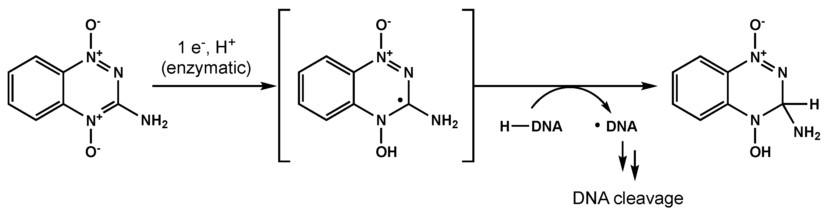 Biomedicines 10 01763 g005