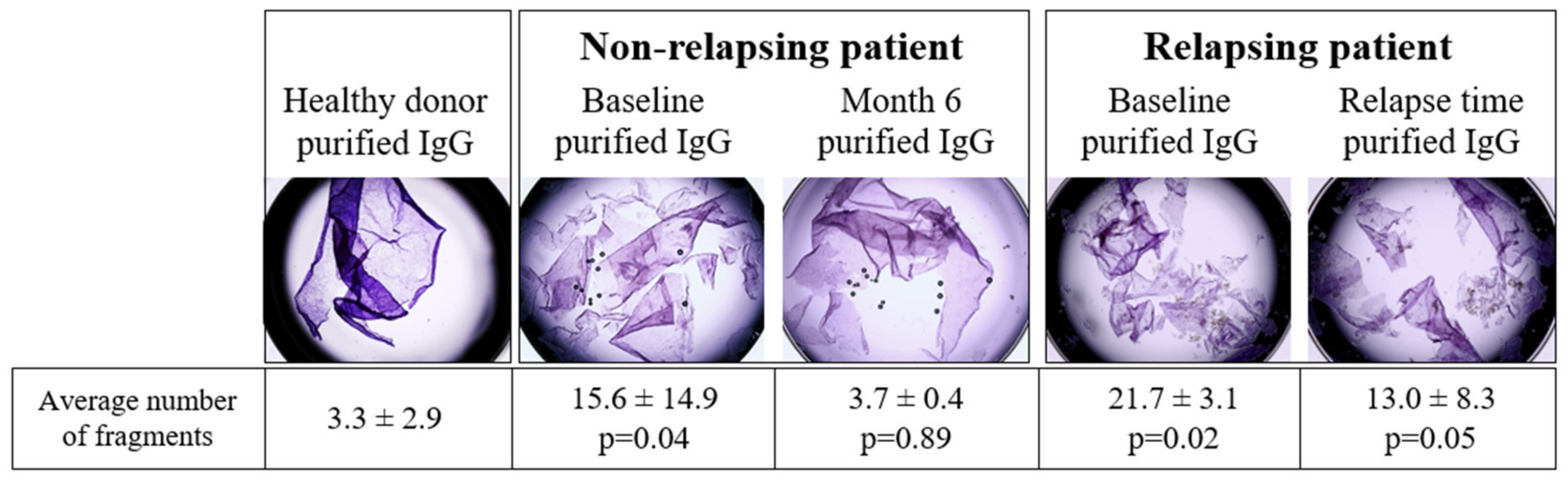Biomedicines 10 01774 g005