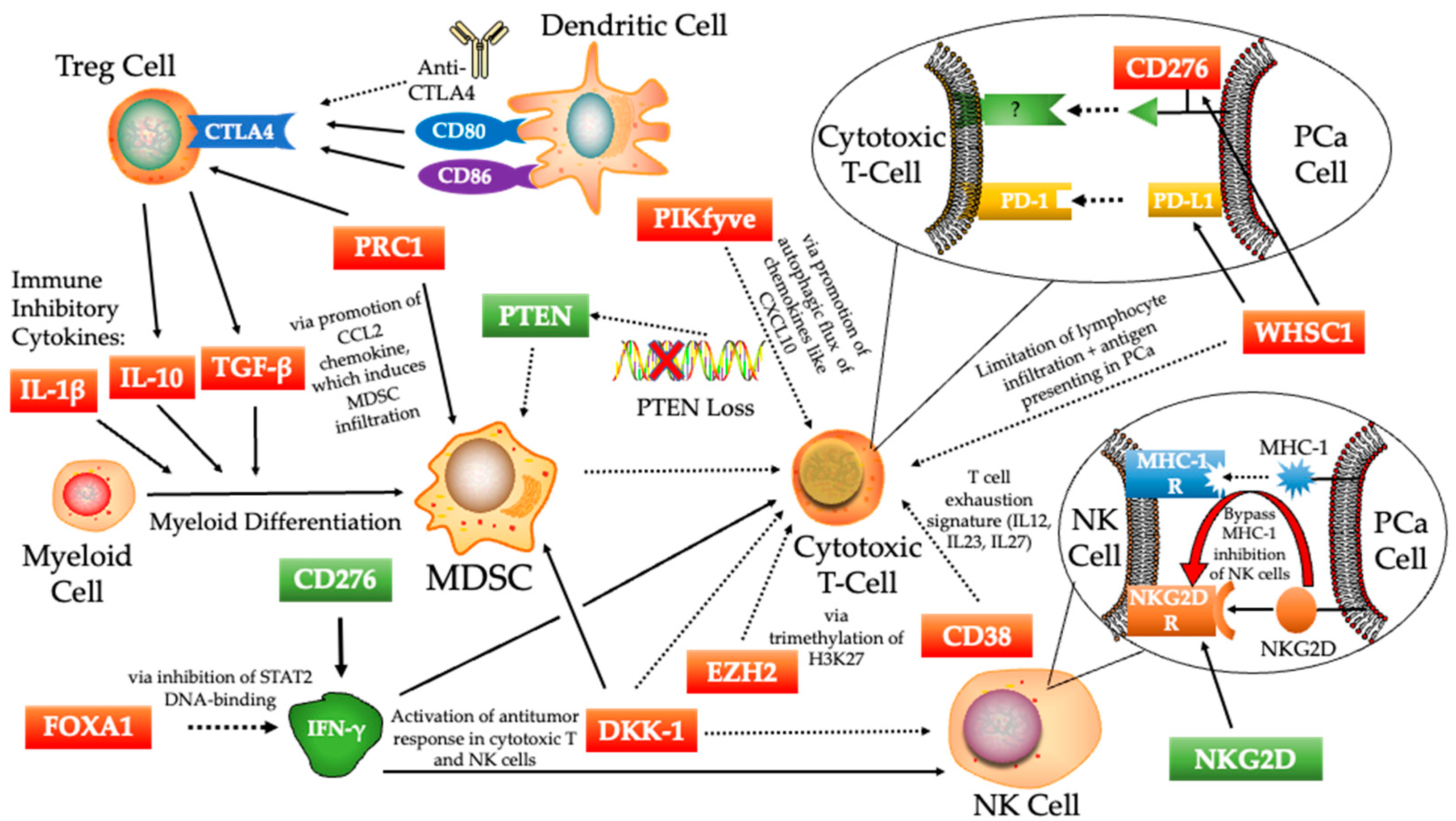 Biomedicines 10 01778 g002
