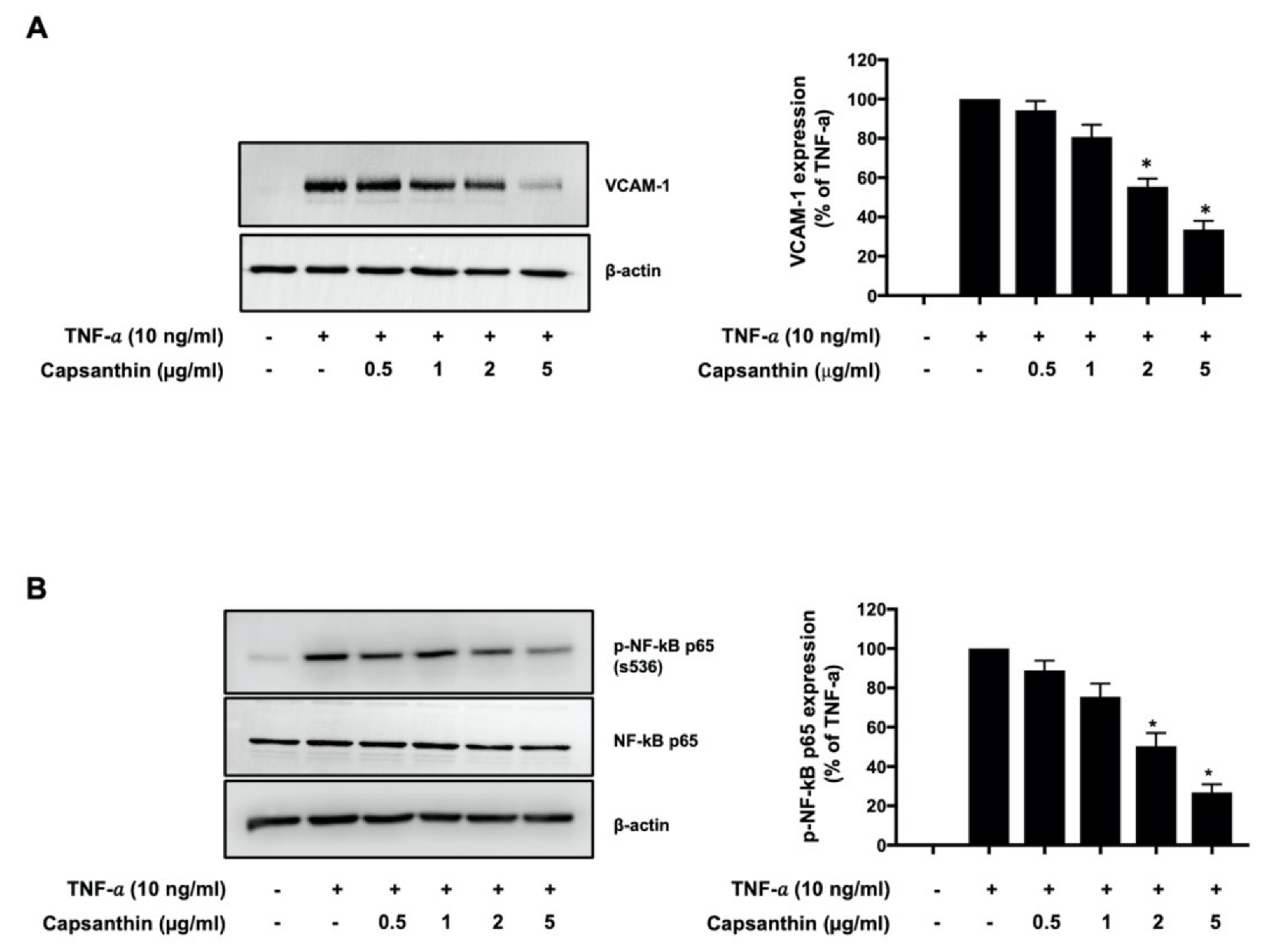 Biomedicines 10 01780 g001