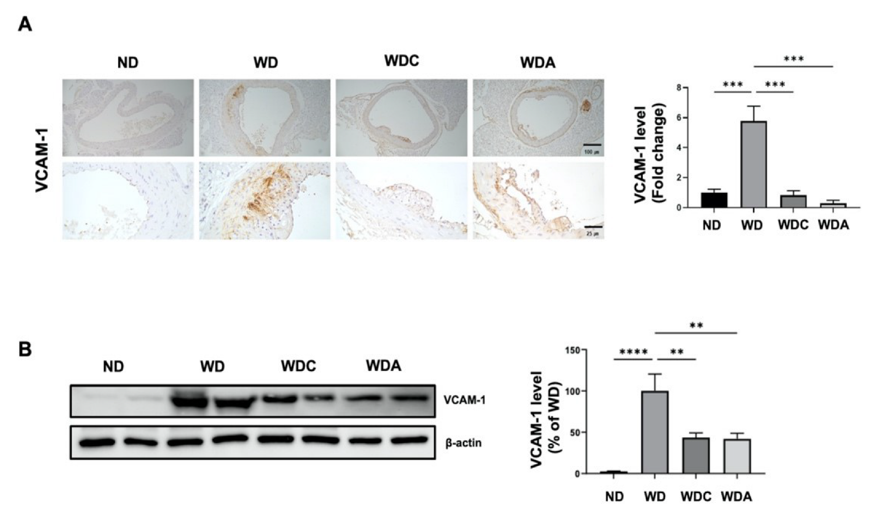 Biomedicines 10 01780 g003